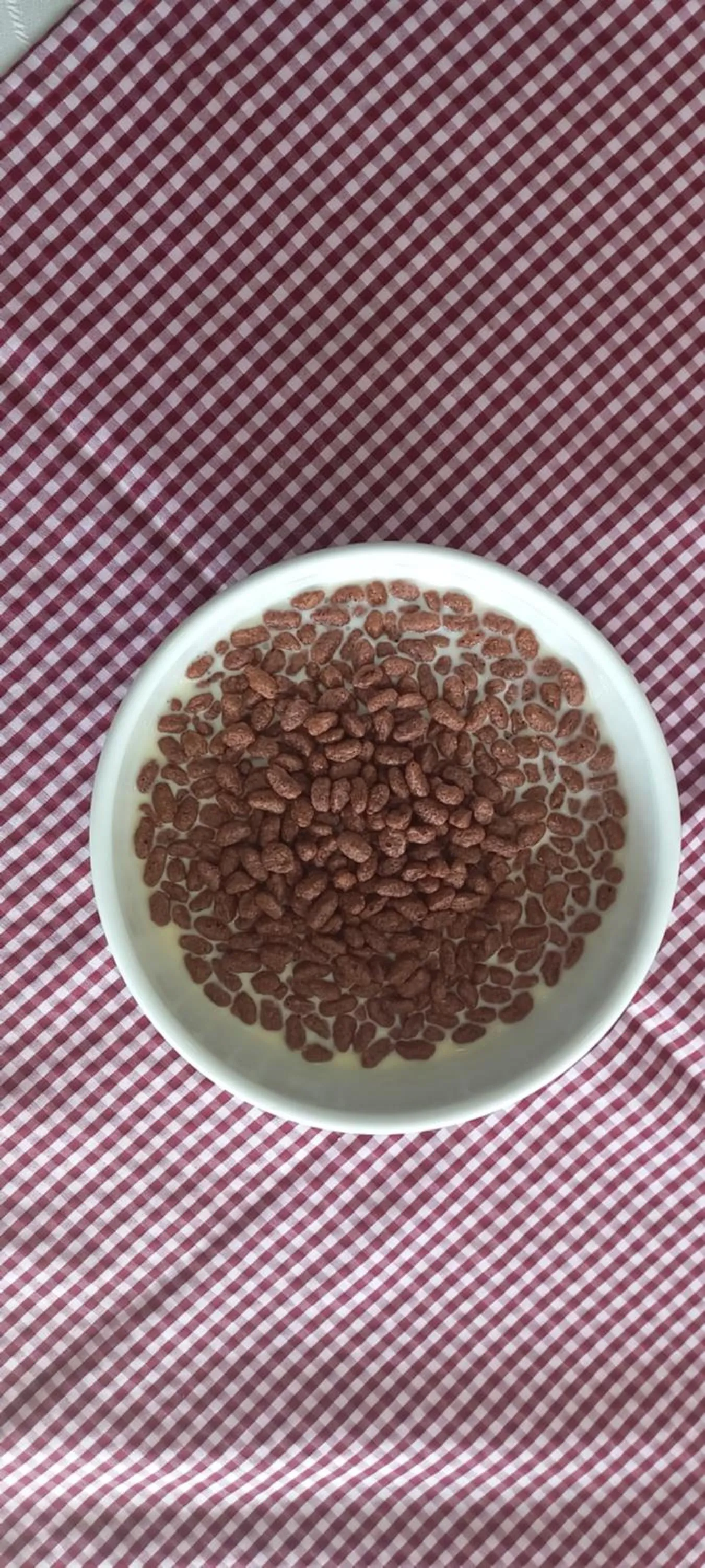 Breakfast in Hotel Splendor by Friends Company