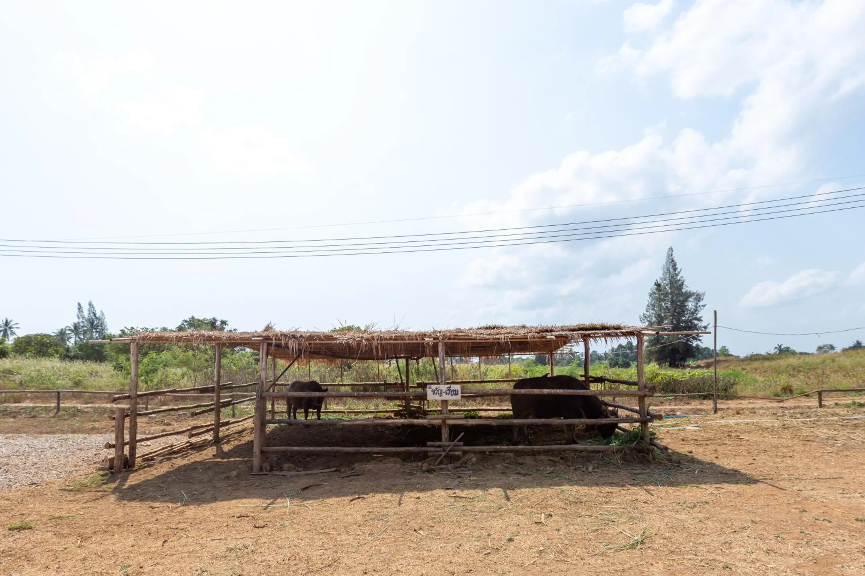 Activities in The Barn Hua Hin