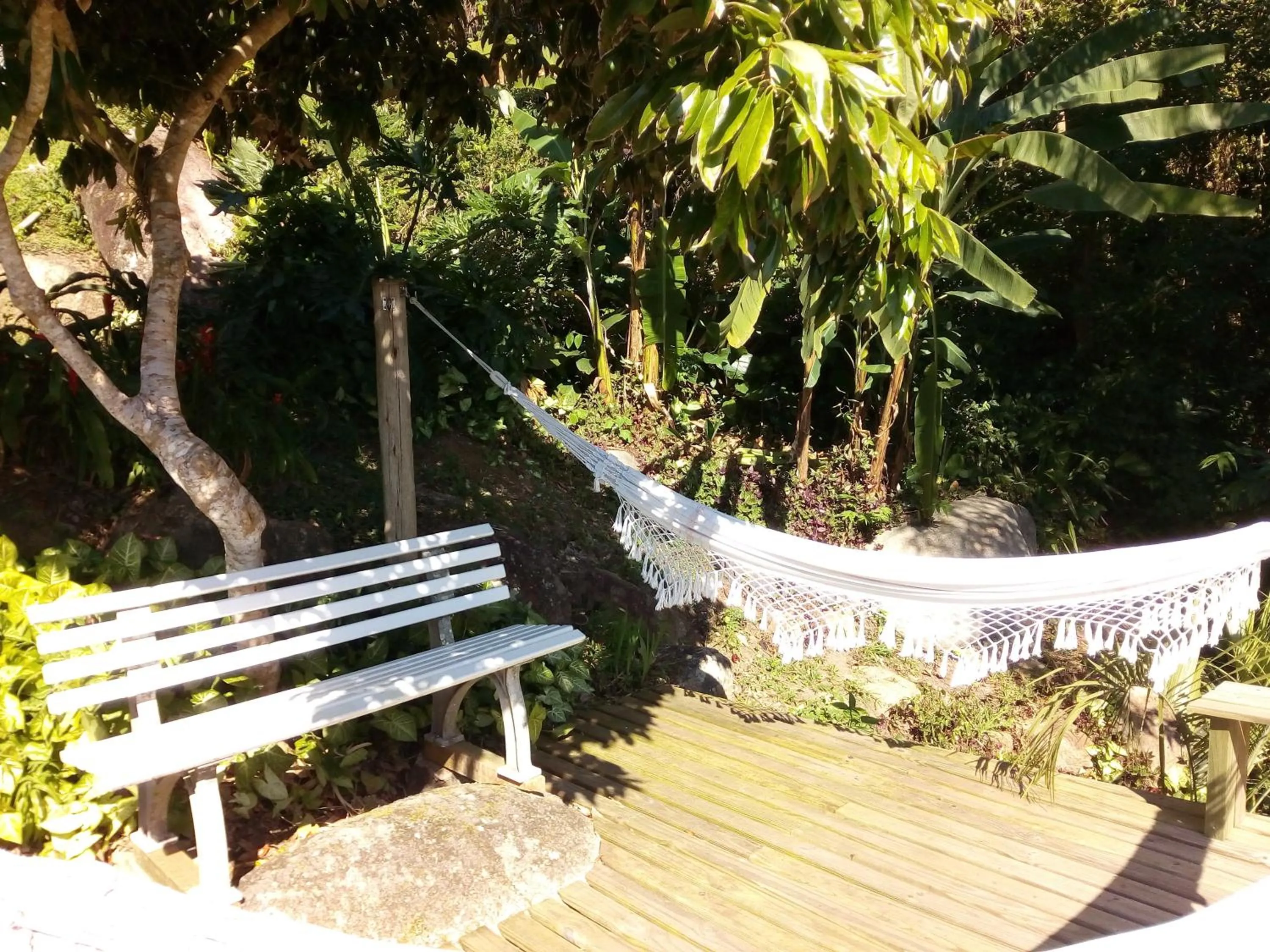 Garden in Studio Formana