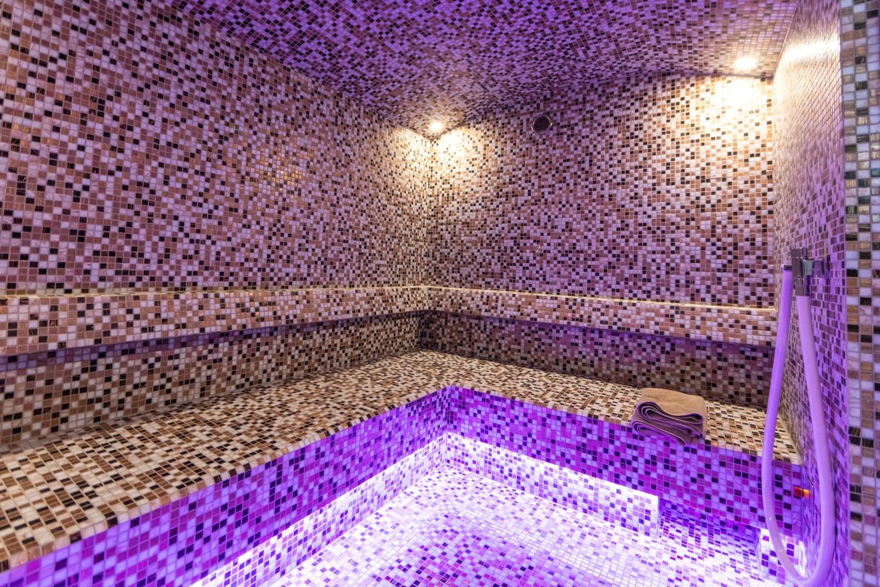 Steam room in Historische Residenz Lindeneck