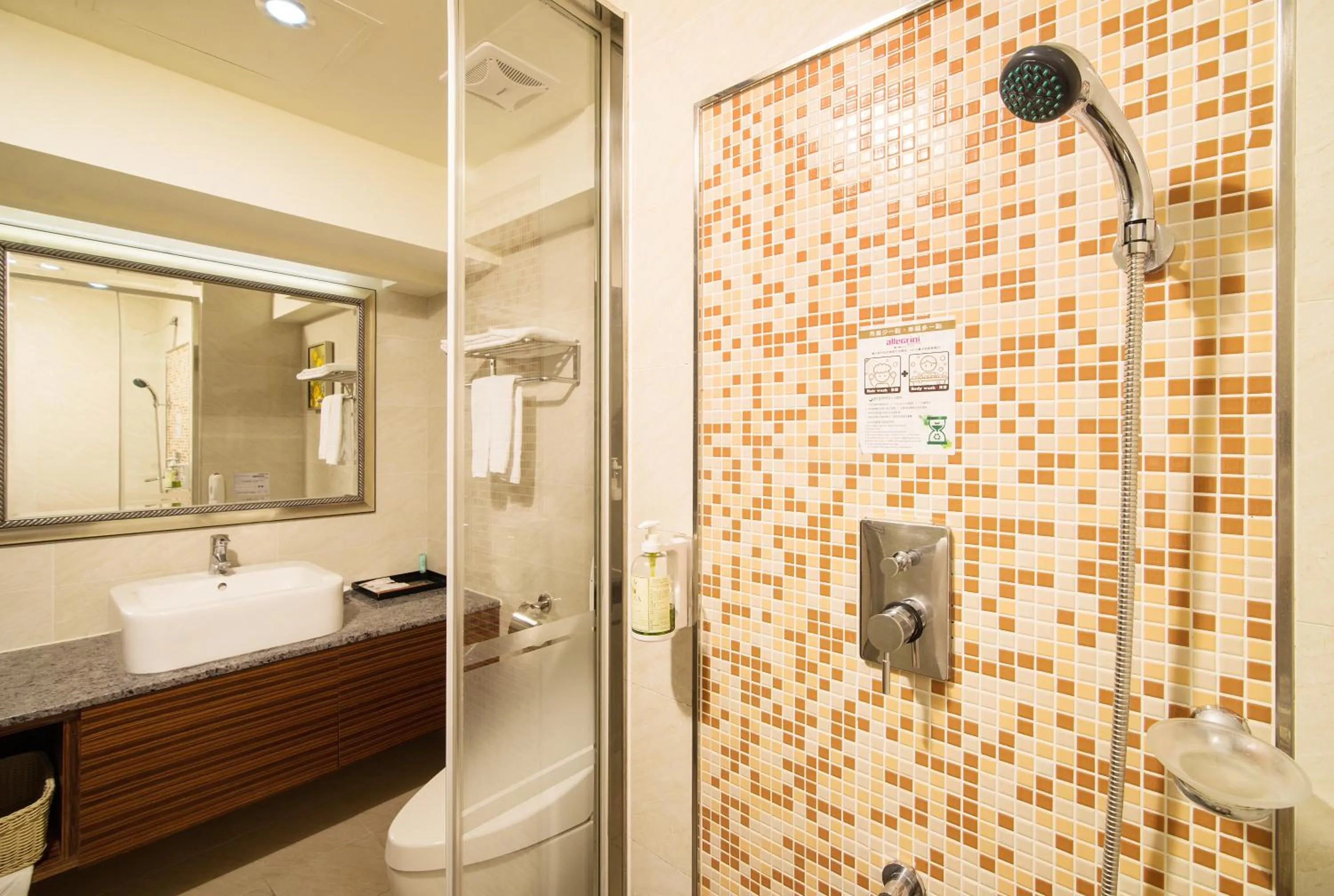 Shower in Arsma Hotel