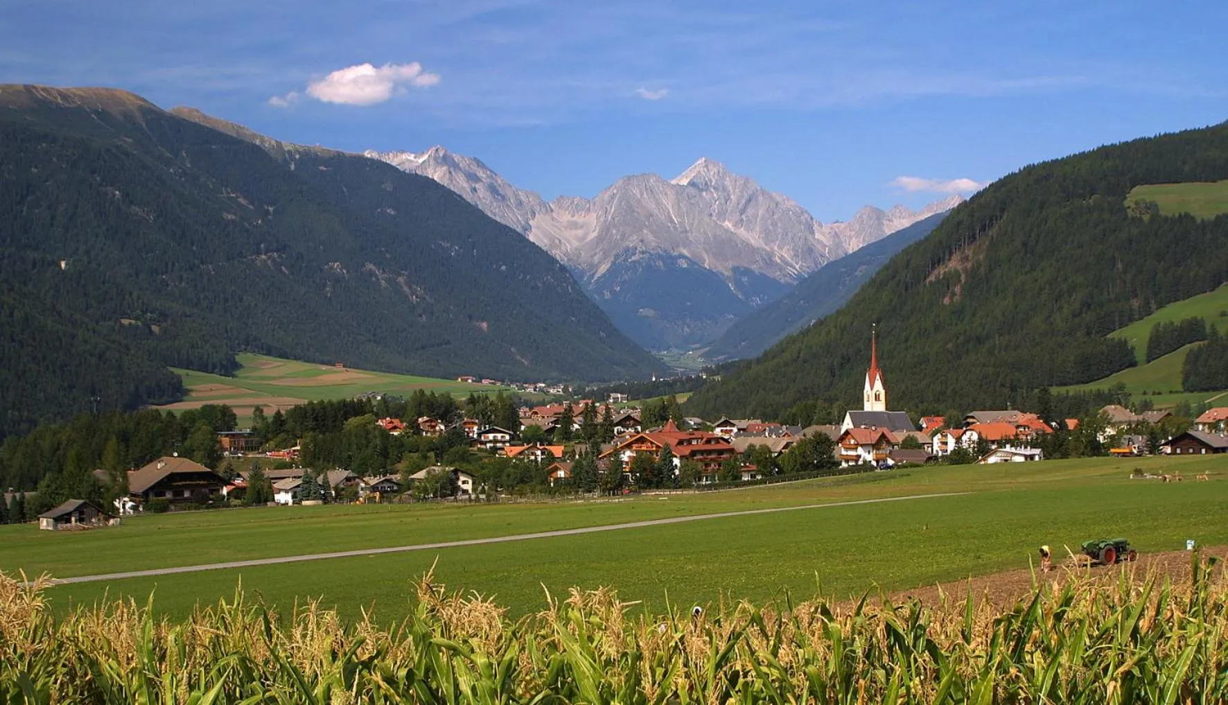 Area and facilities in Hotel Markushof 3***S
