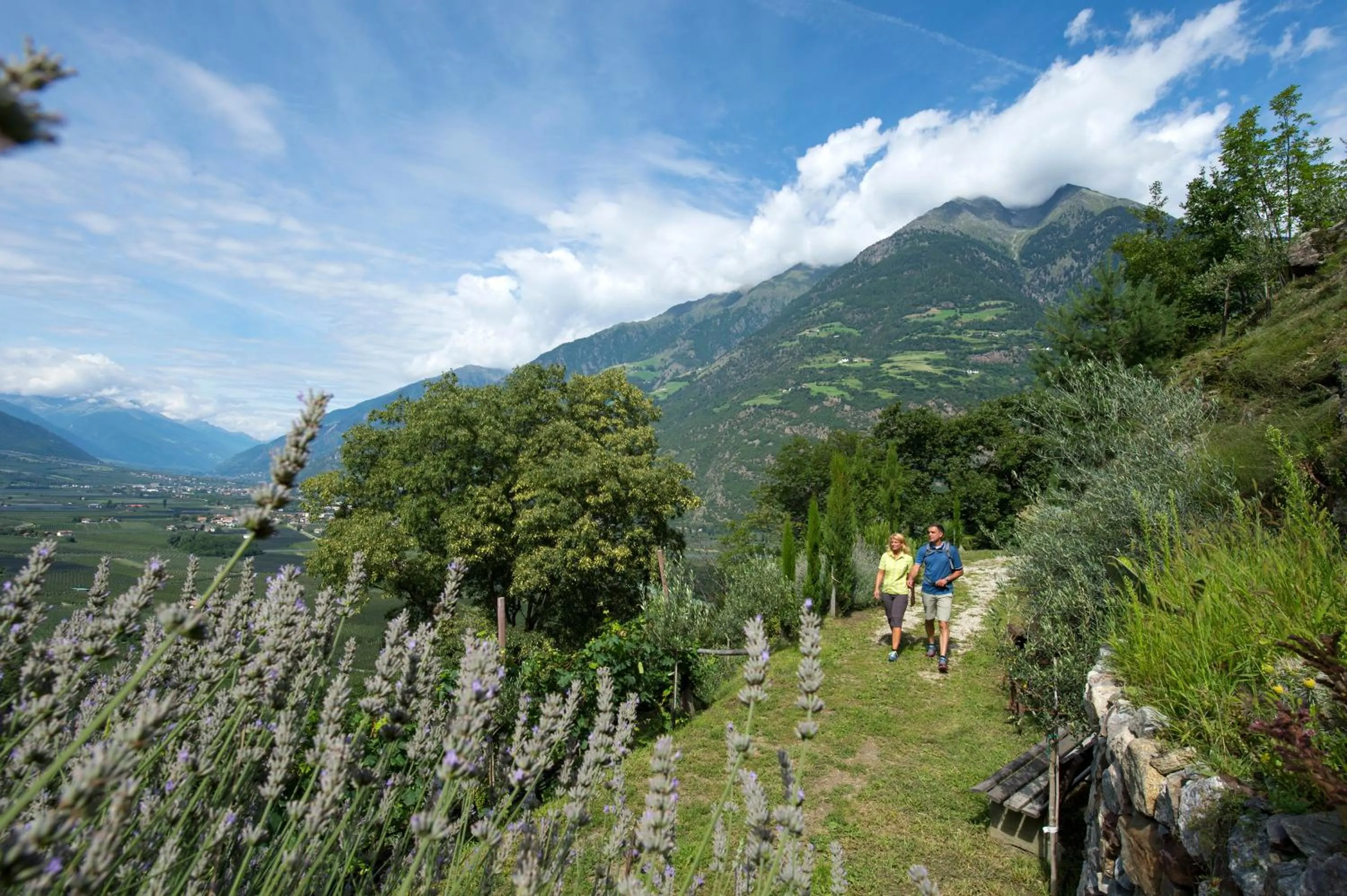 Hiking in Genusshotel Diamant