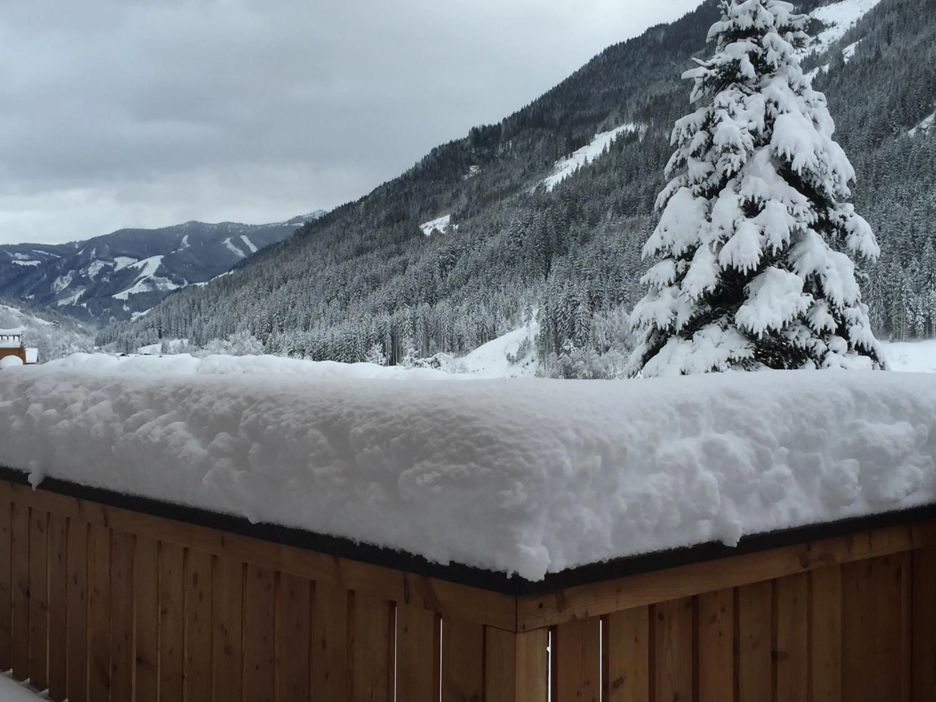 Mountain view in Haus Willibald
