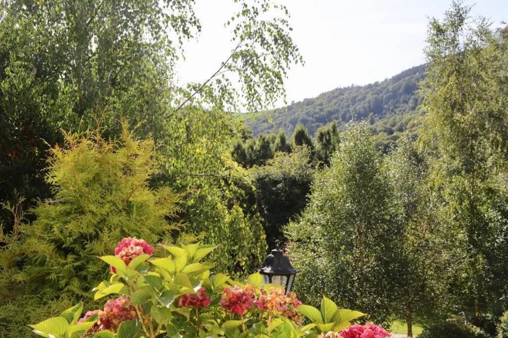 Natural landscape in Heather House