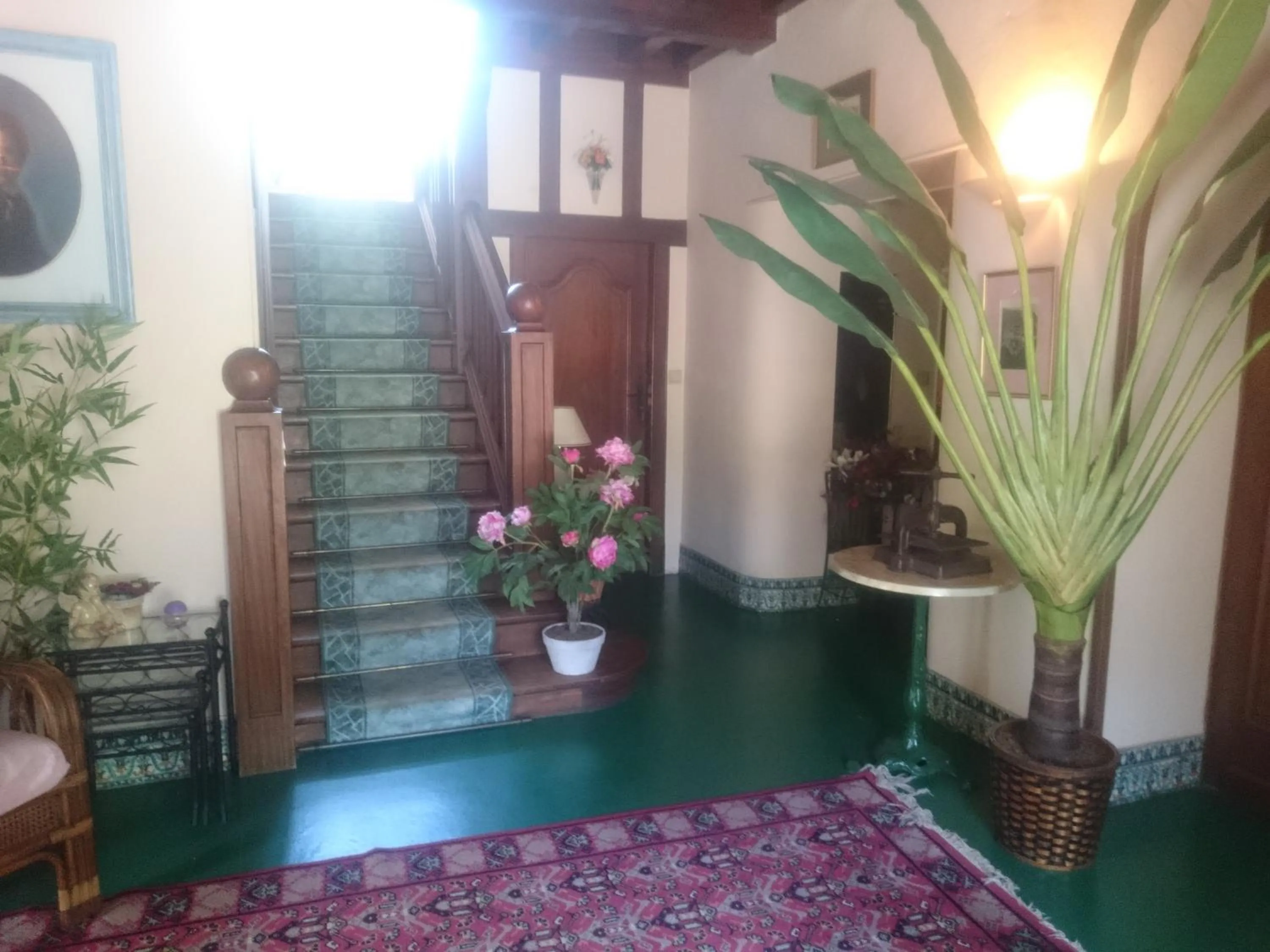 Area and facilities in Hotel Le Mas Fleuri