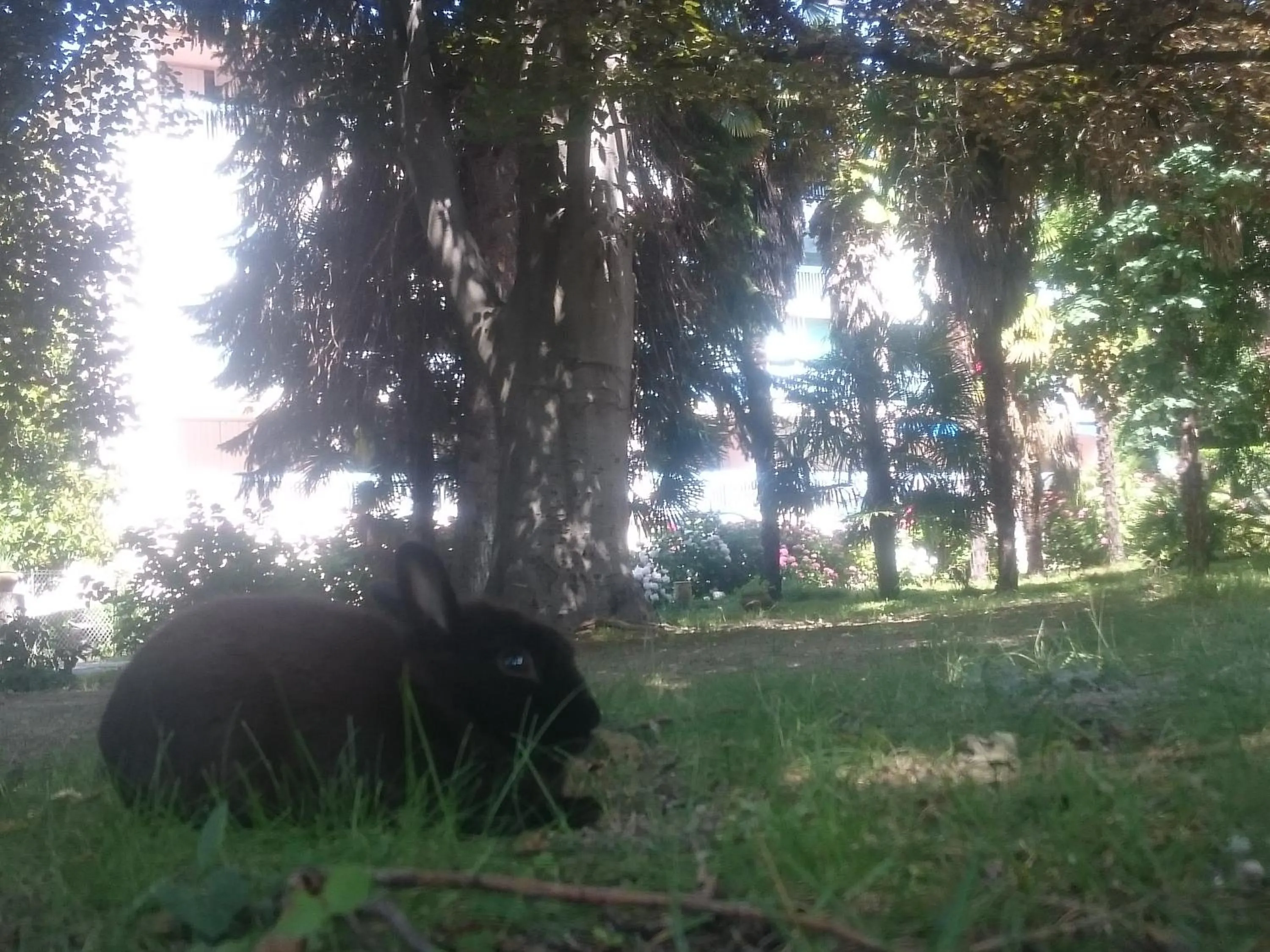 Garden in Hotel Le Mas Fleuri