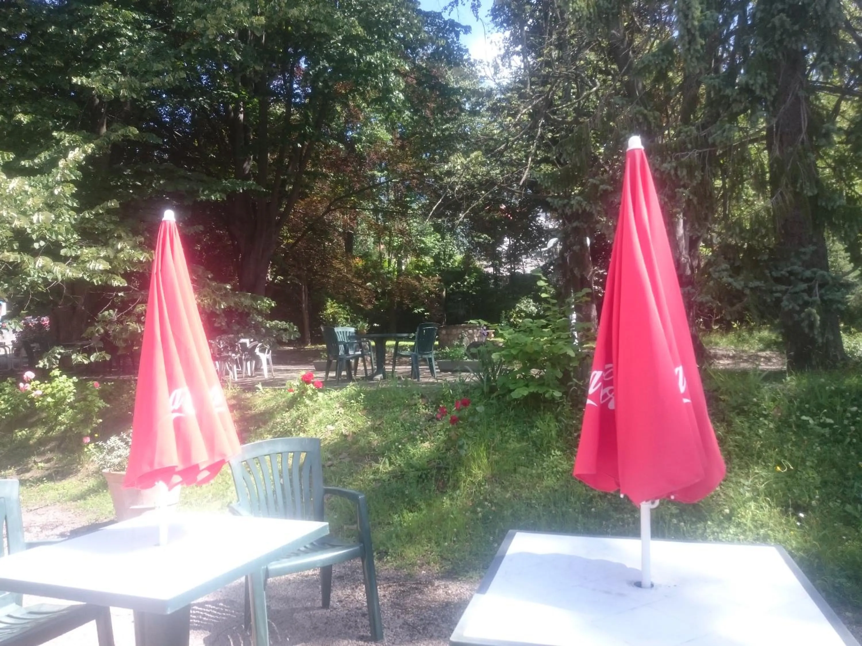 Garden in Hotel Le Mas Fleuri