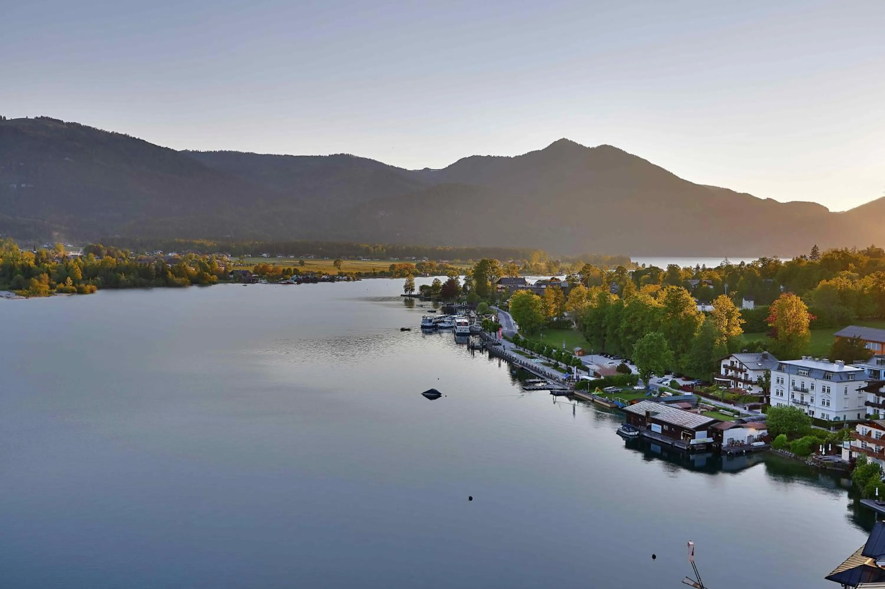 Staff in Scalaria Sunset Wing