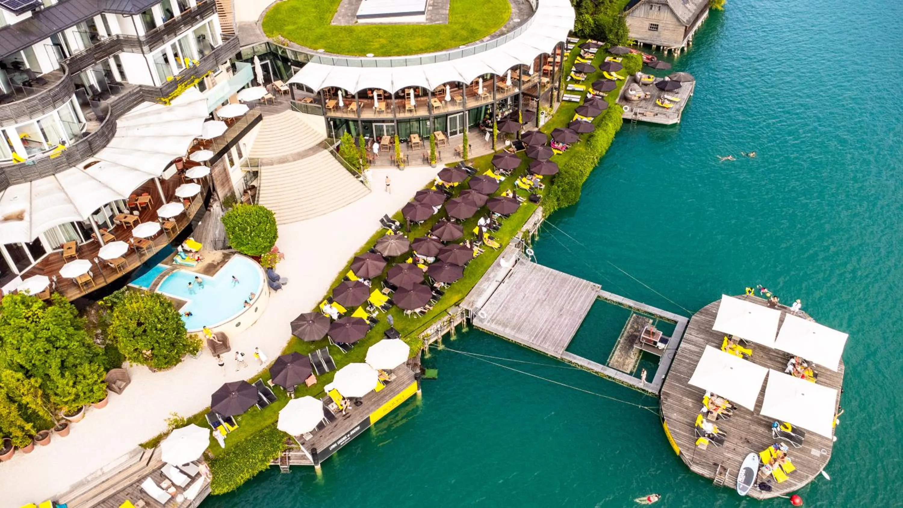 Day in Scalaria Sunset Wing