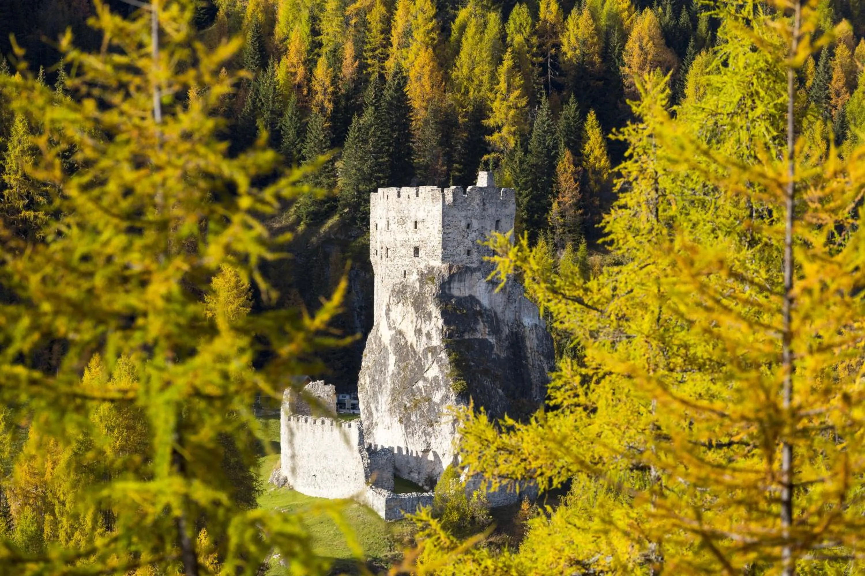 Nearby landmark in Active Hotel Malita