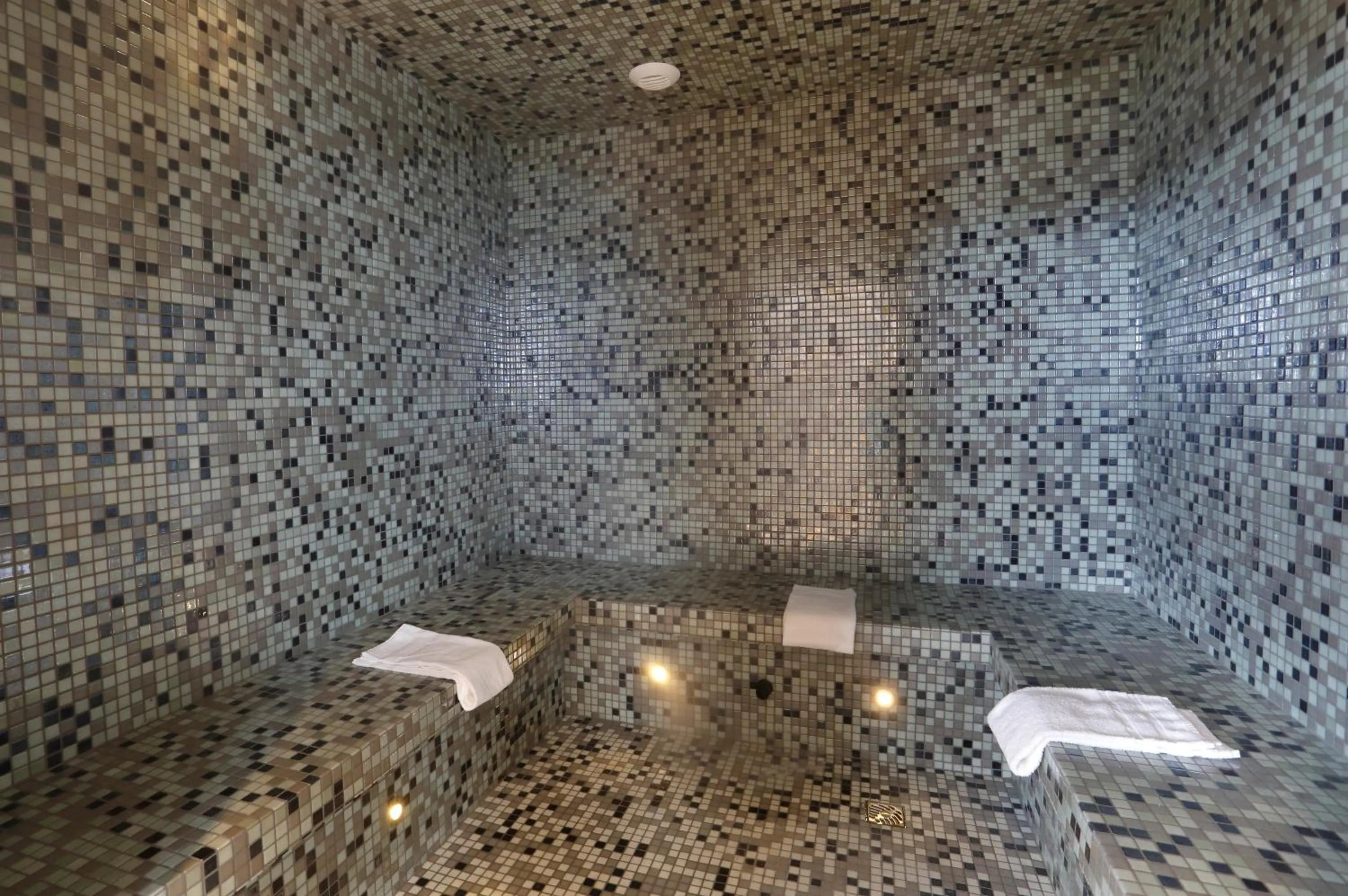 Steam room in The Originals Boutique, Hôtel-Restaurant d'Alsace, Strasbourg Sud