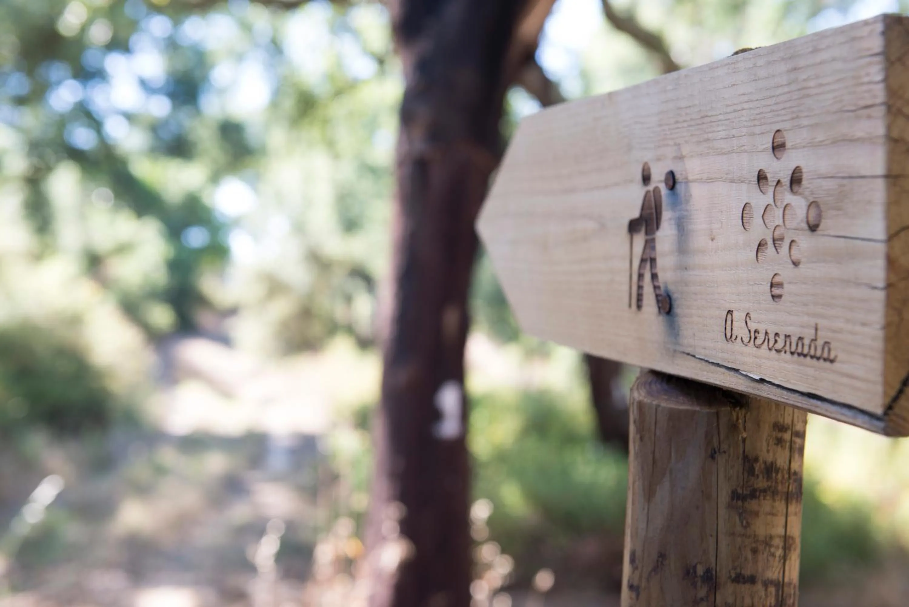Hiking in A Serenada Enoturismo