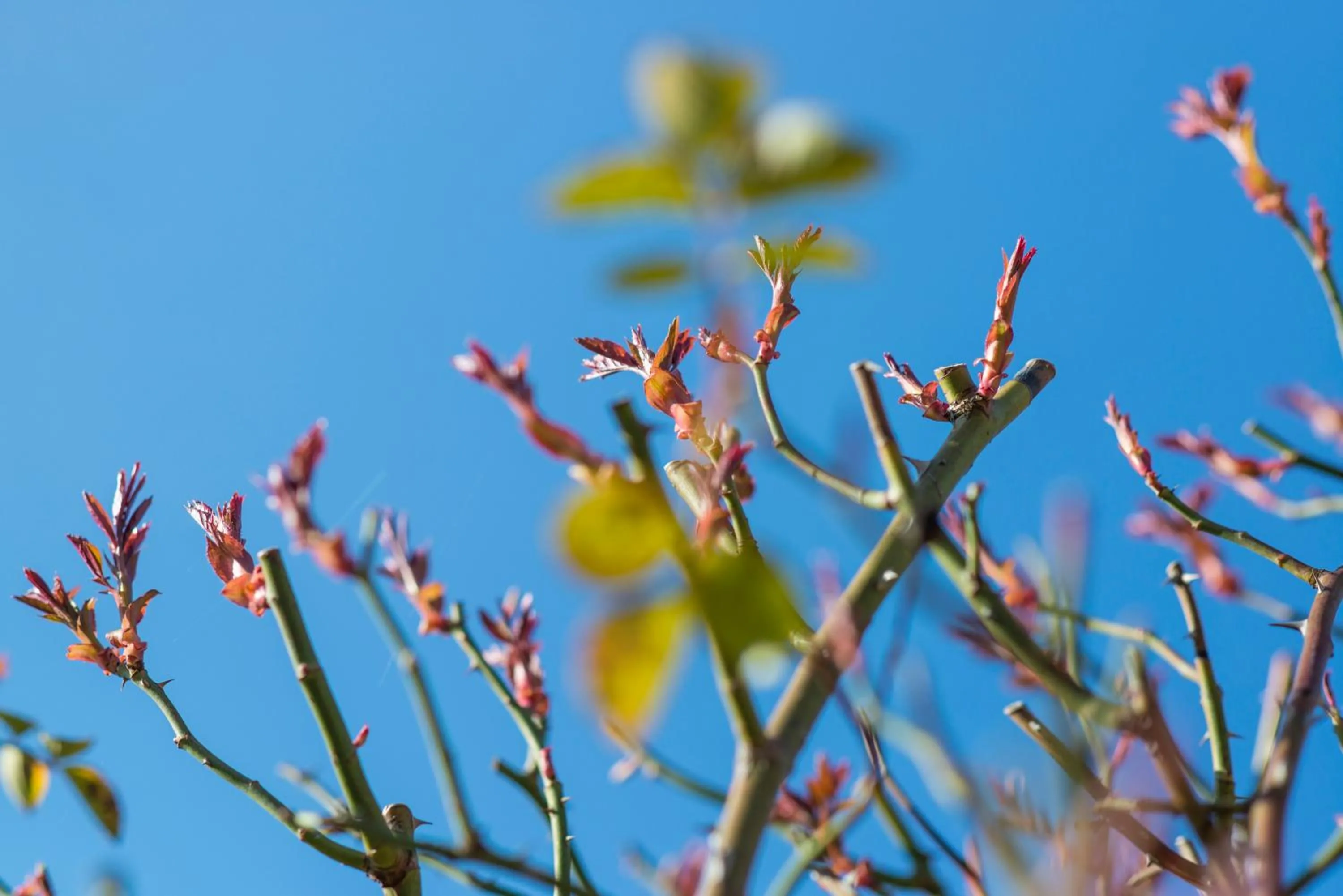 Day in Oberwirt Weisses Kreuz