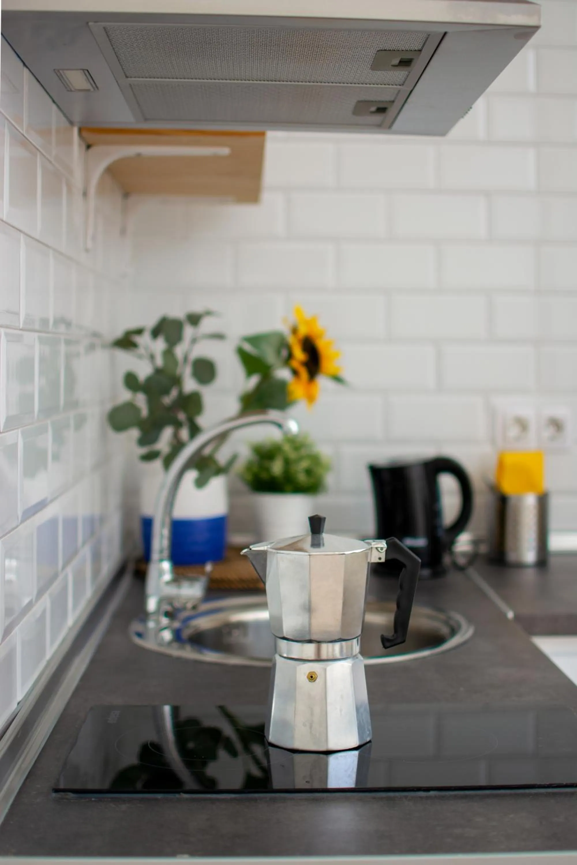 kitchen in Apartamentos Magna Sevilla