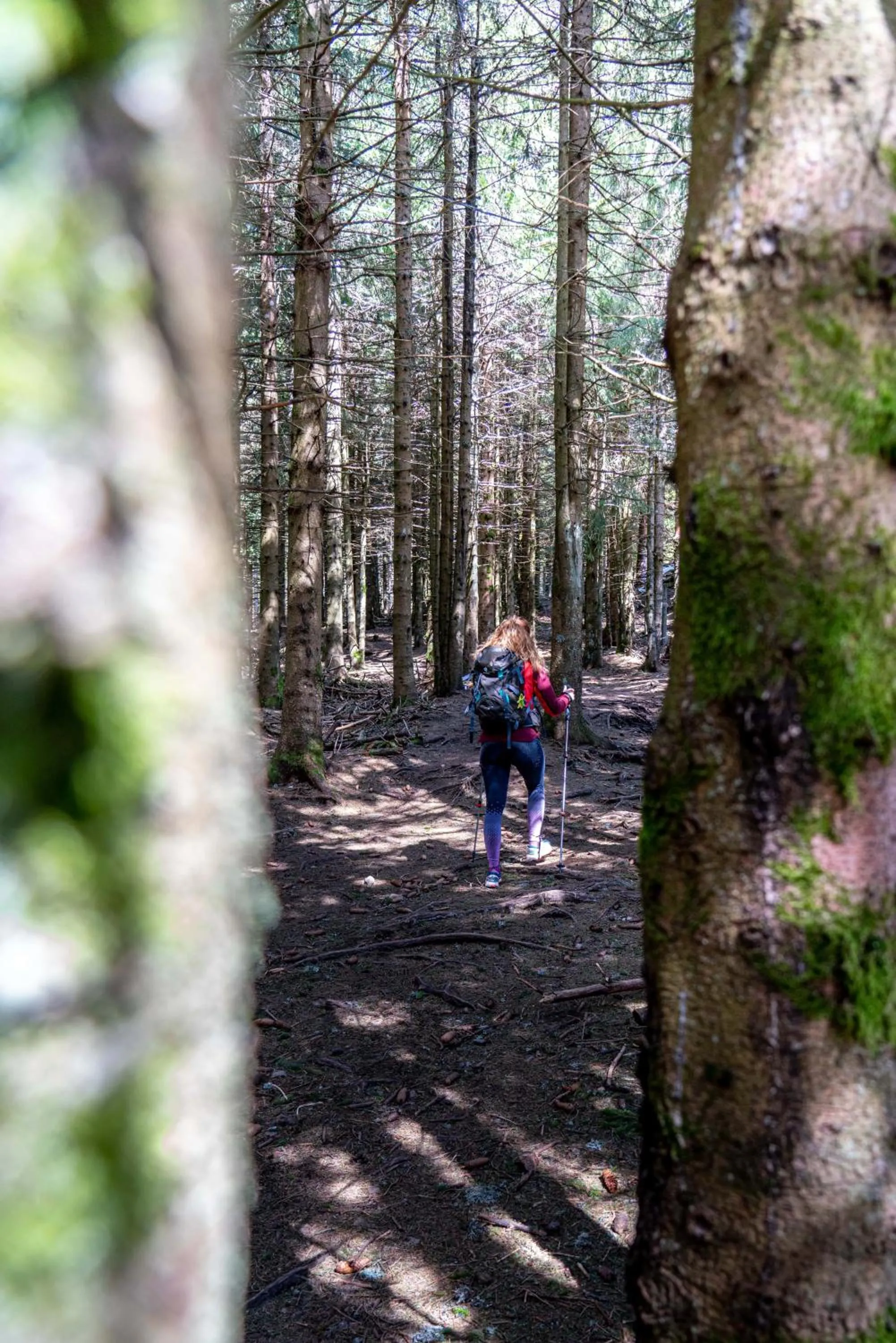 Activities in Hob Fort du Pré