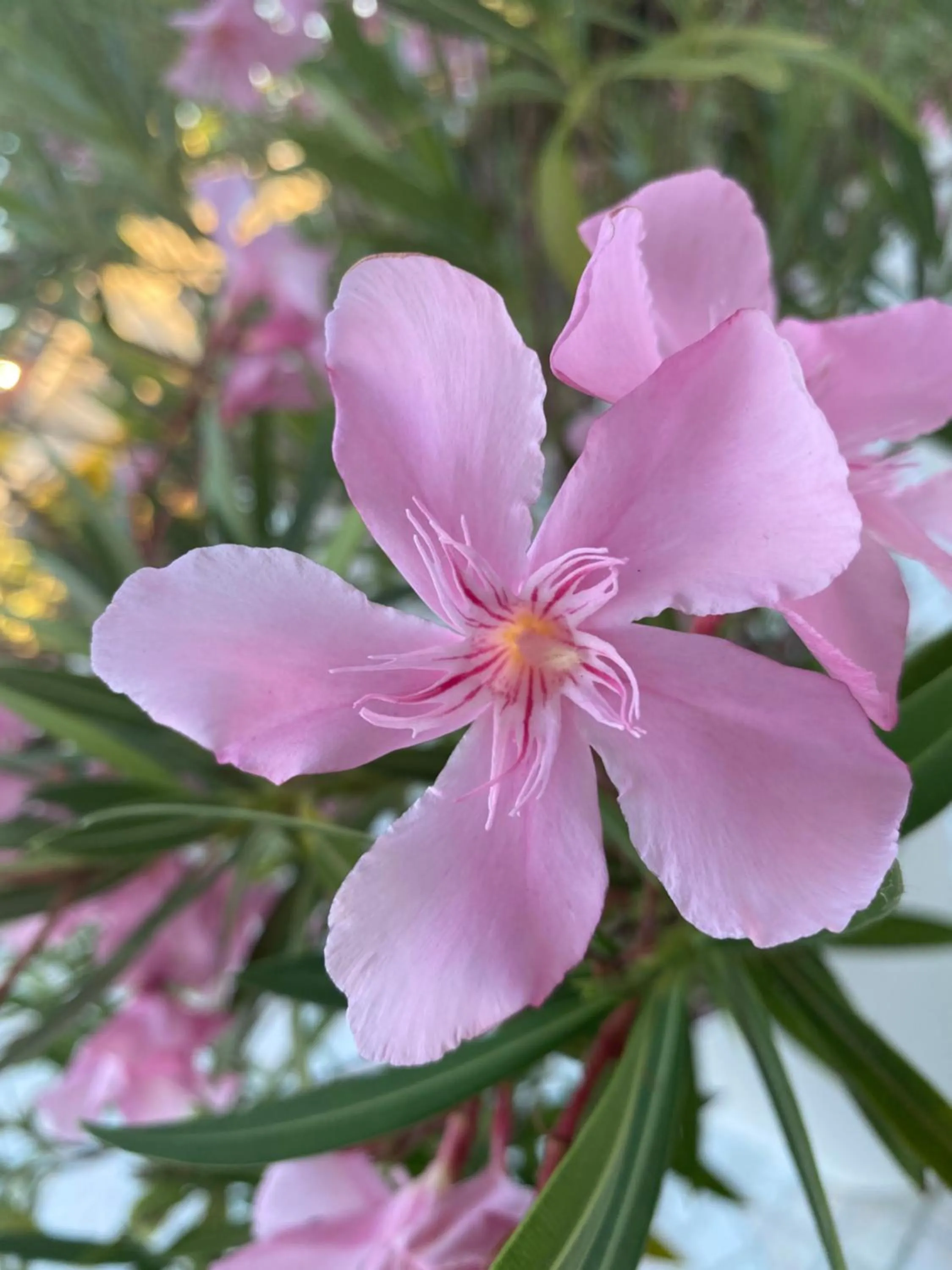 Property building in Les Vagues Hôtel Restaurant