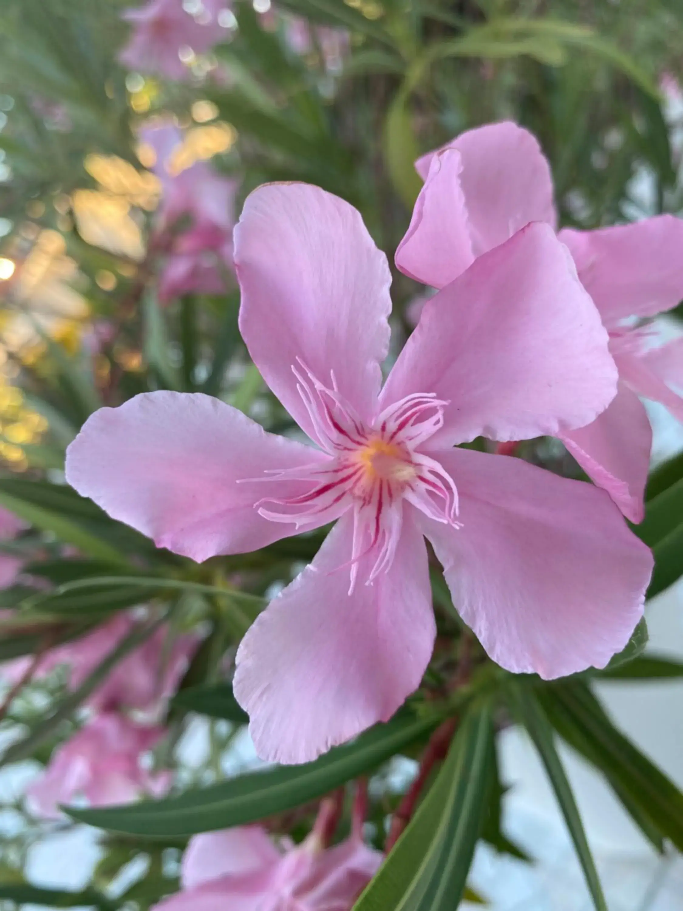 Property building in Les Vagues Hôtel Restaurant Property building in Les Vagues Hôtel Restaurant