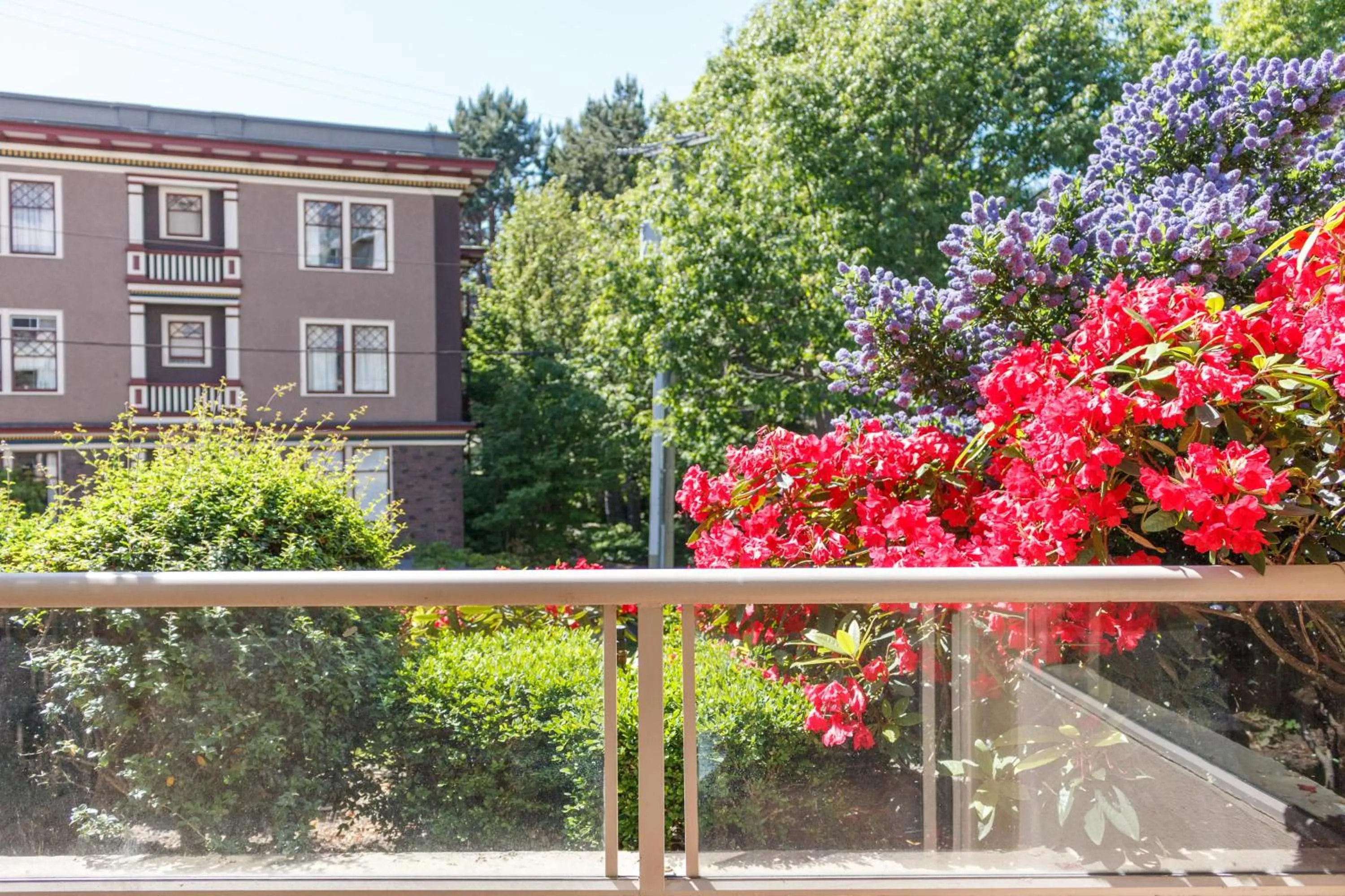 Versatile Garden-Level Suite W Natural Light