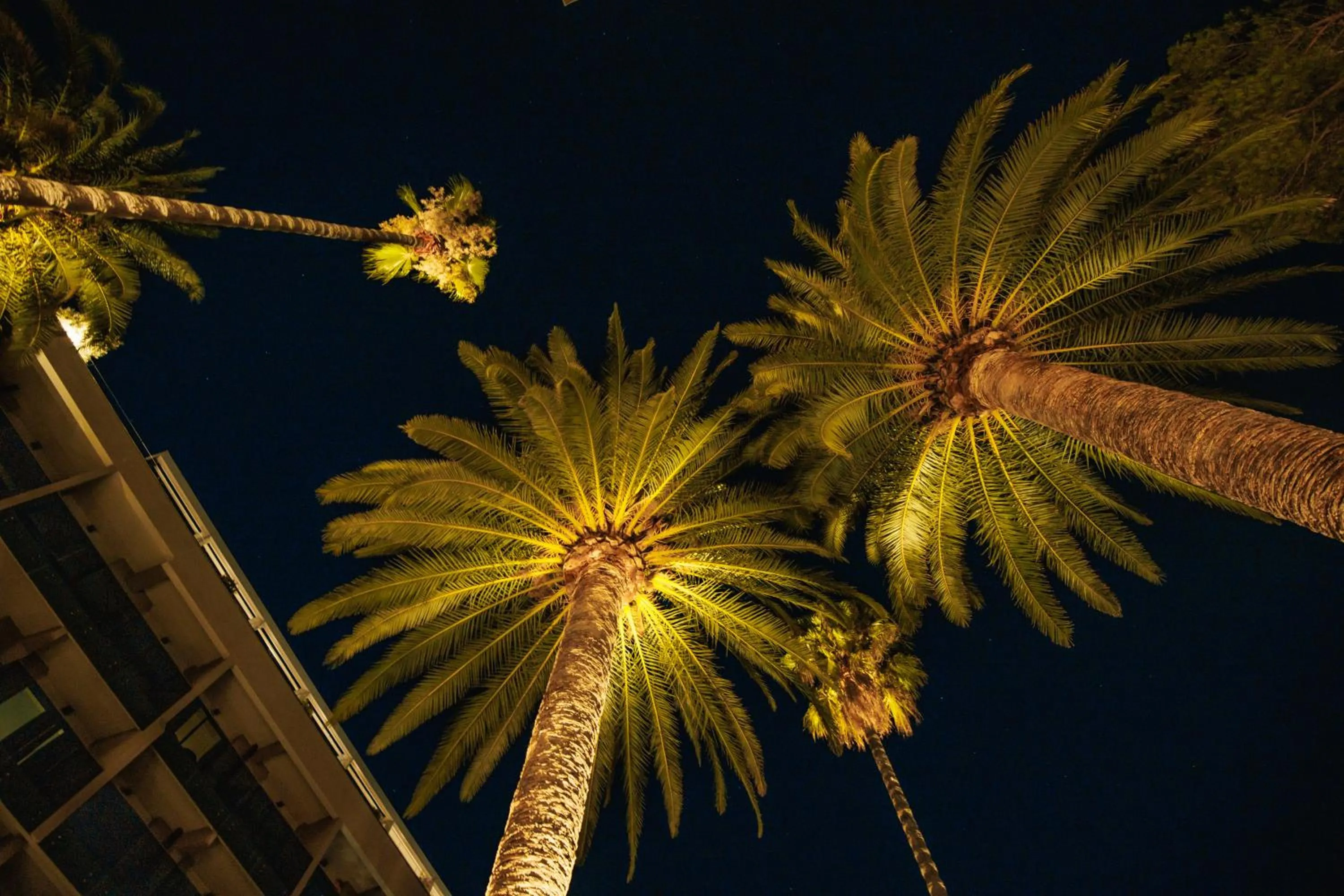 View (from property/room) in Palmon Bay Hotel & Spa