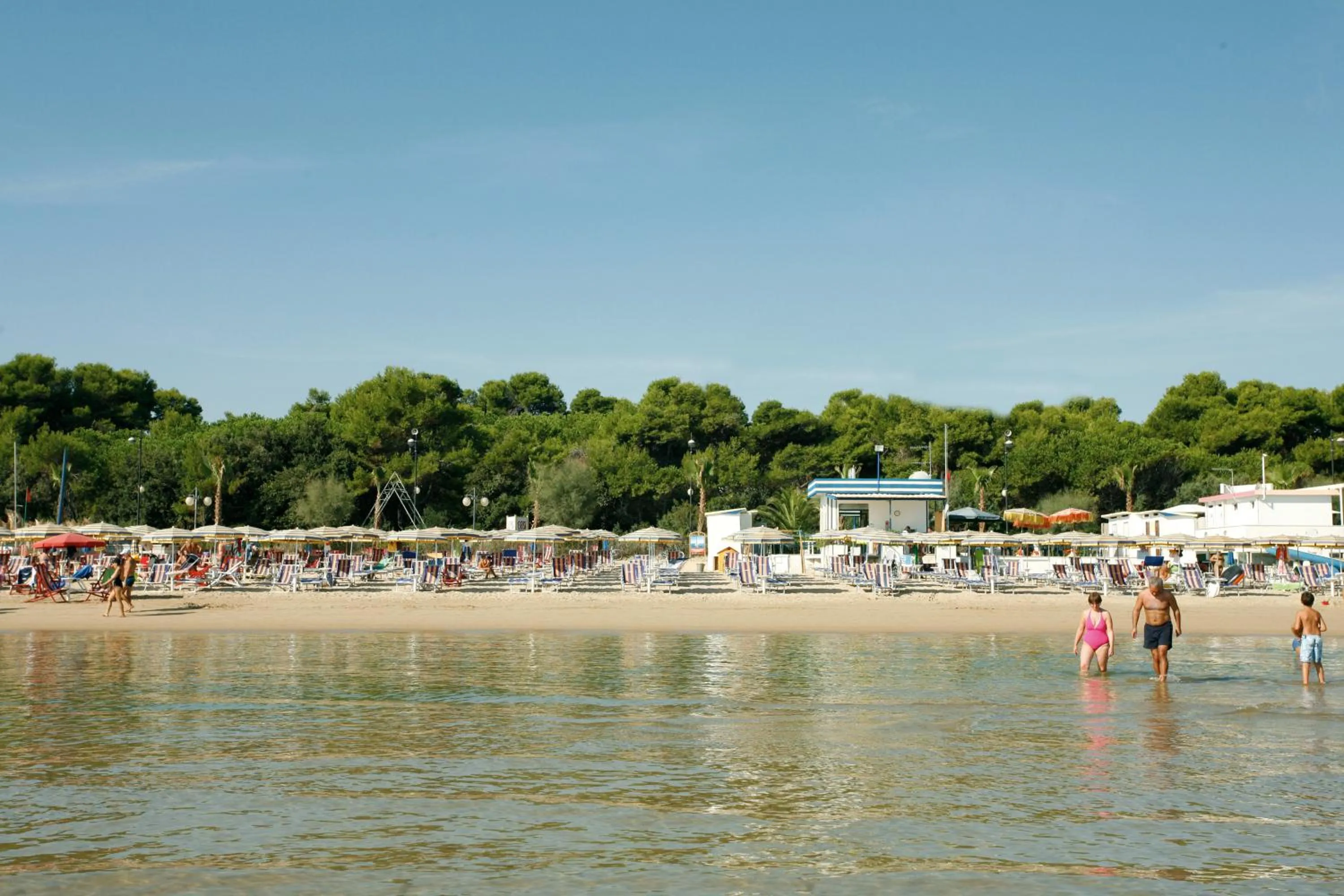 Day in Hotel Nel Pineto