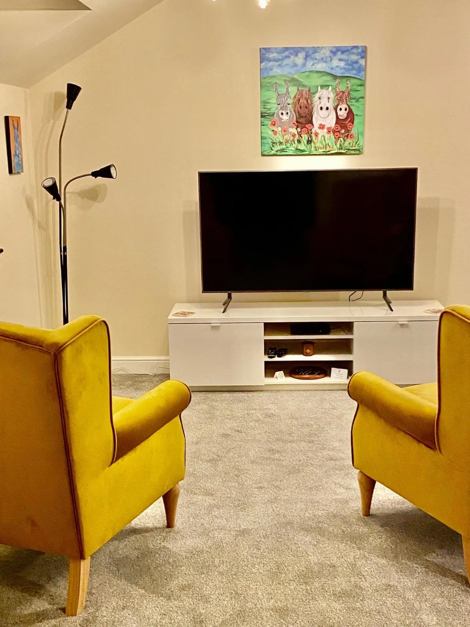 TV and multimedia in Oaklodge House