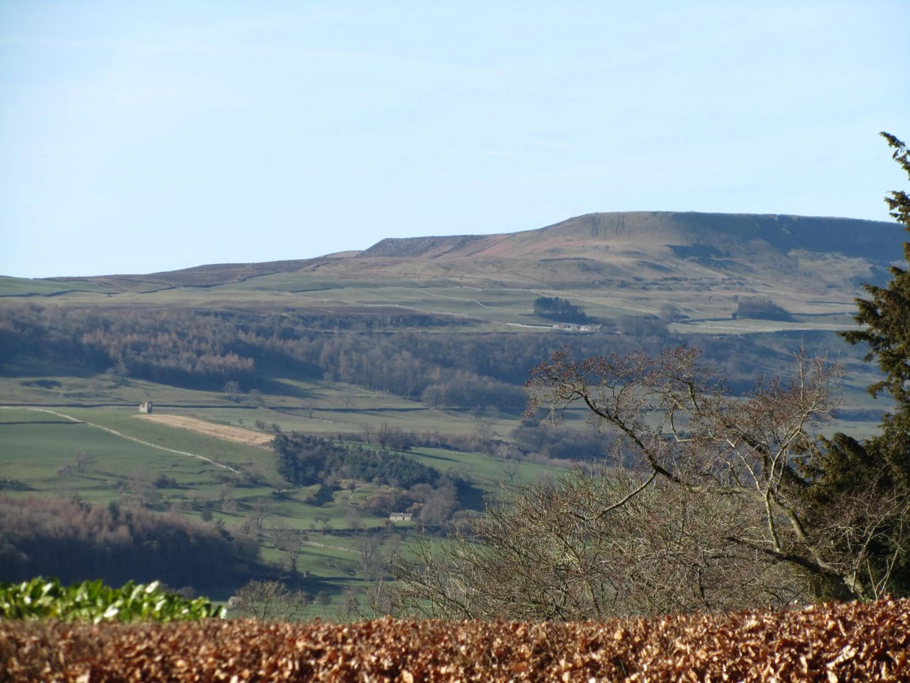 Natural landscape in Oaklodge House