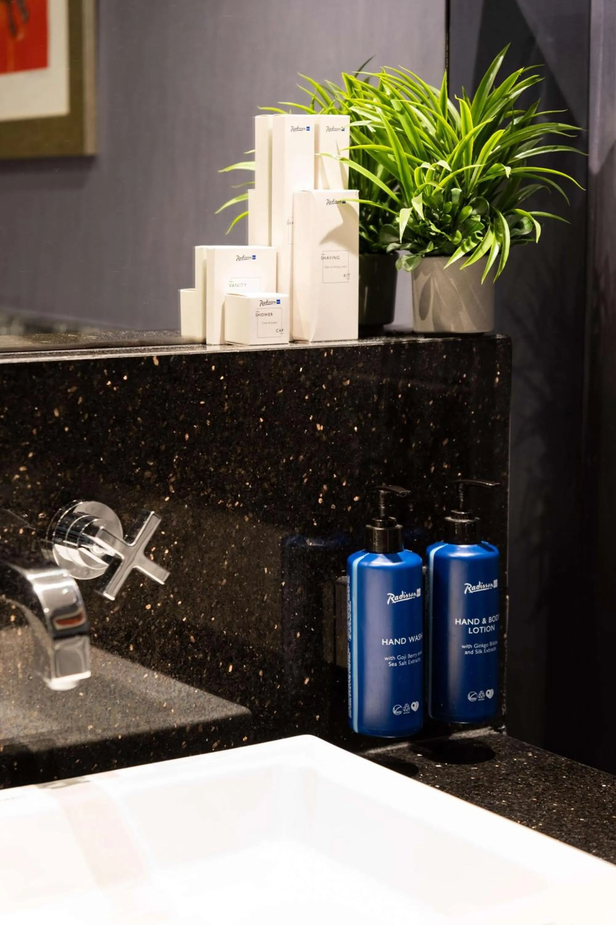 Bathroom in Radisson Blu Hotel Istanbul Pera