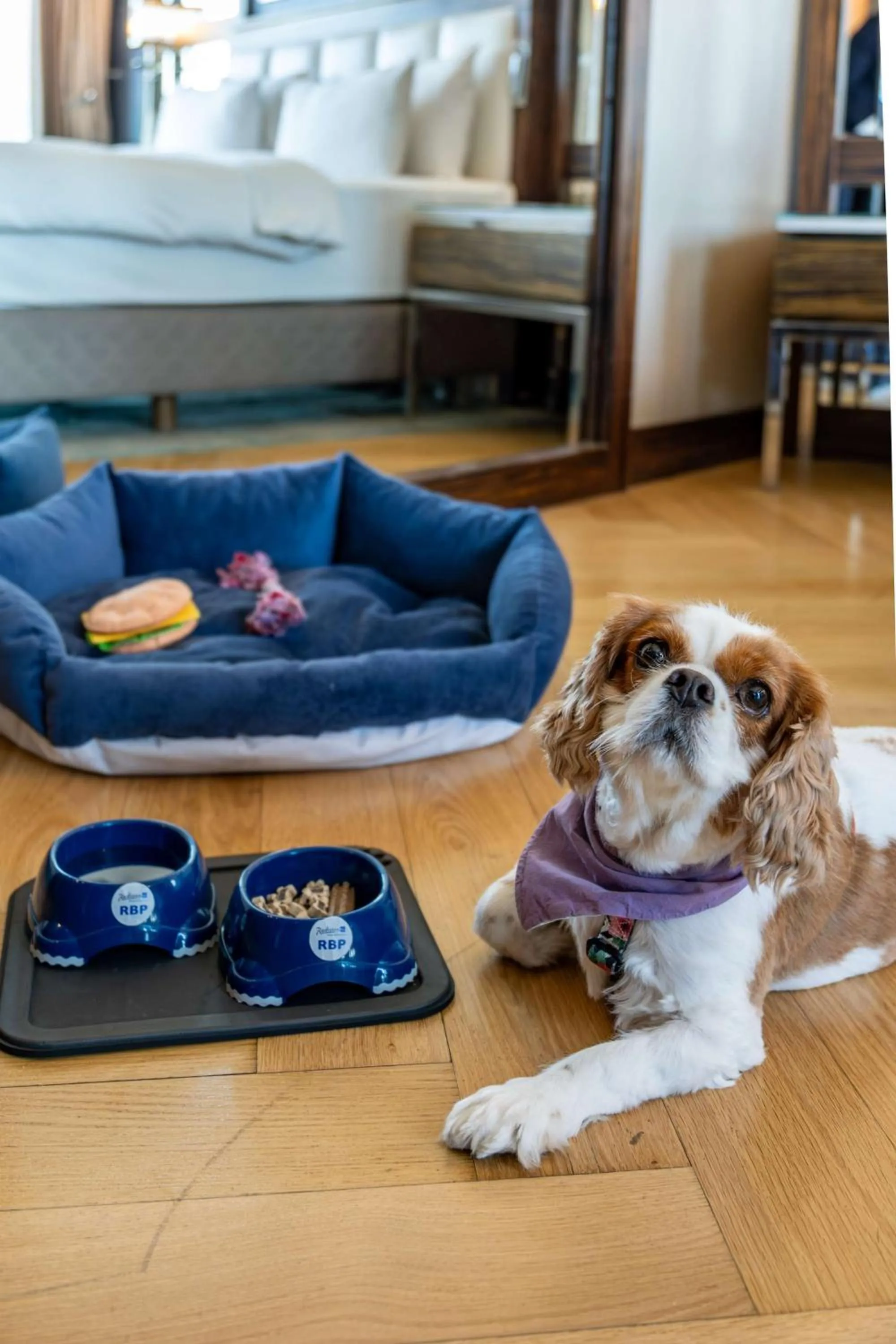 Other in Radisson Blu Hotel Istanbul Pera