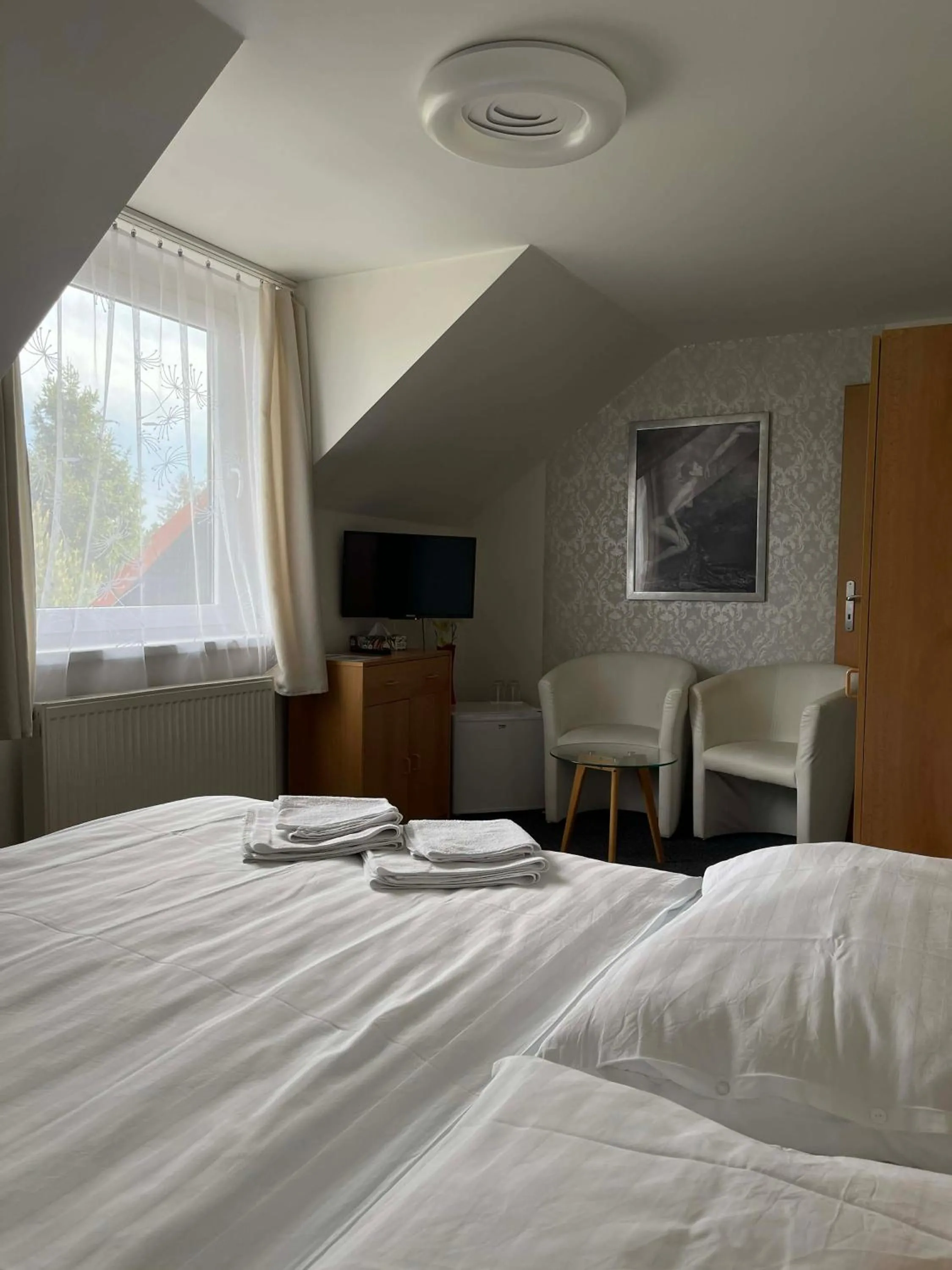 Double Room in Penzion U Kašných