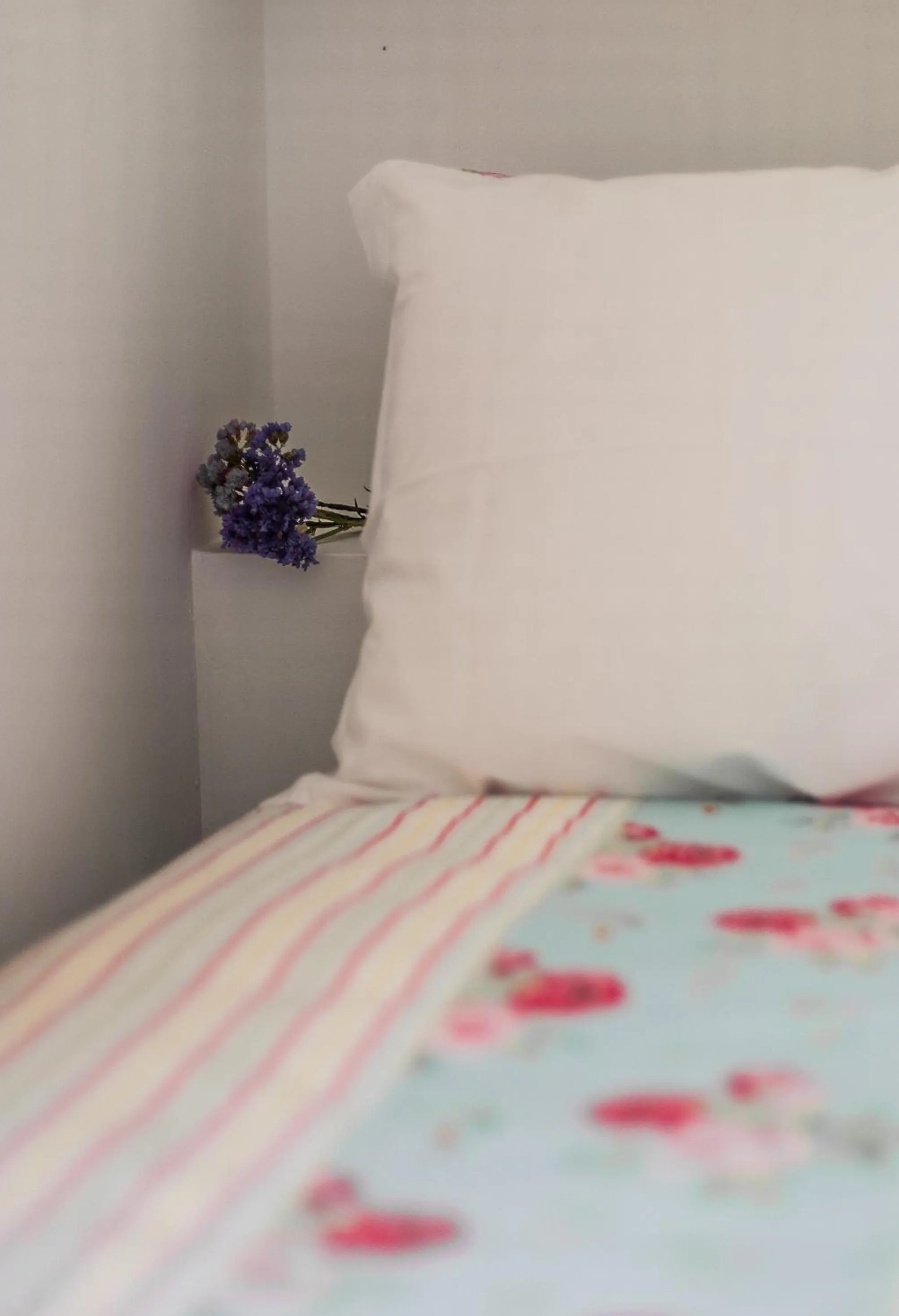 Decorative detail, Bed in Baga de Sal Wine Guesthouse