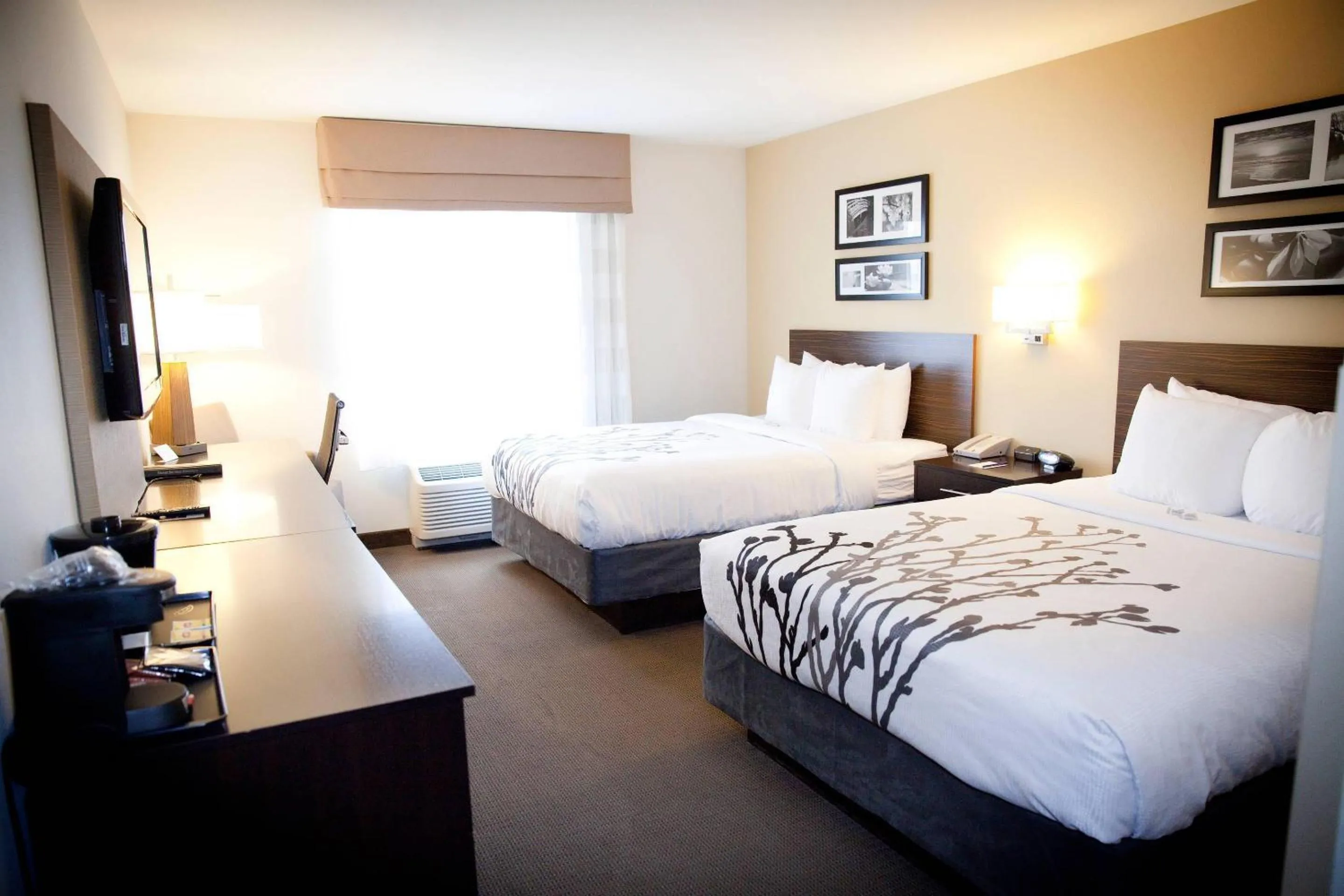 Bedroom, Bed in Sleep Inn & Suites Moundsville - Wheeling