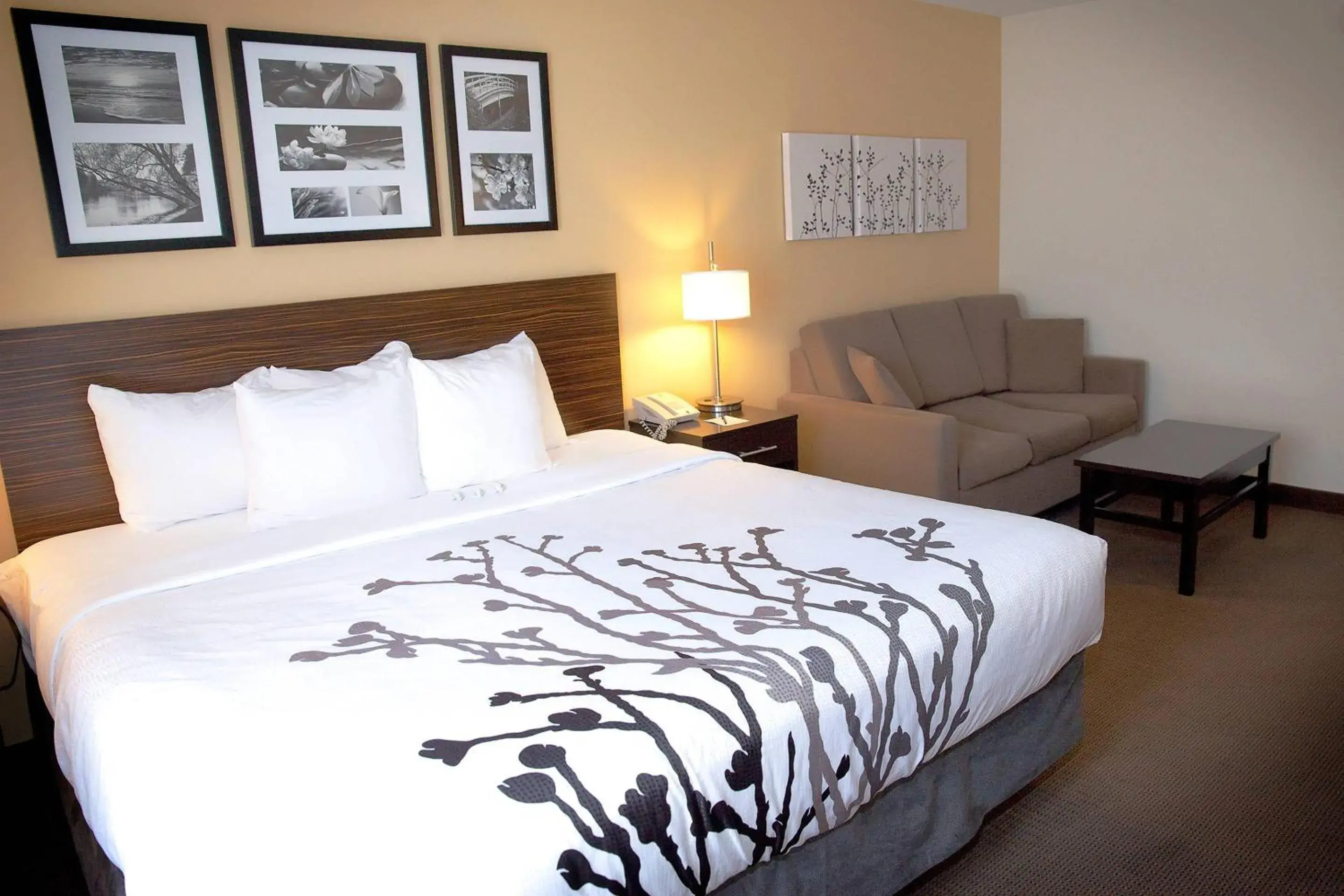 Bedroom, Bed in Sleep Inn & Suites Moundsville - Wheeling Bedroom, Bed in Sleep Inn & Suites Moundsville - Wheeling