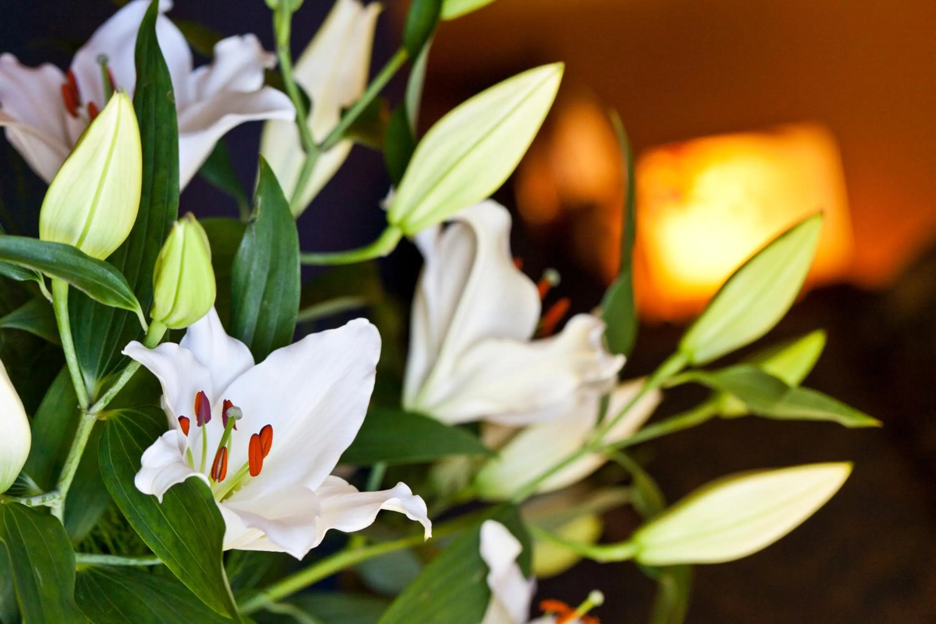 Other in Castel Damandre - Demeures & Châteaux