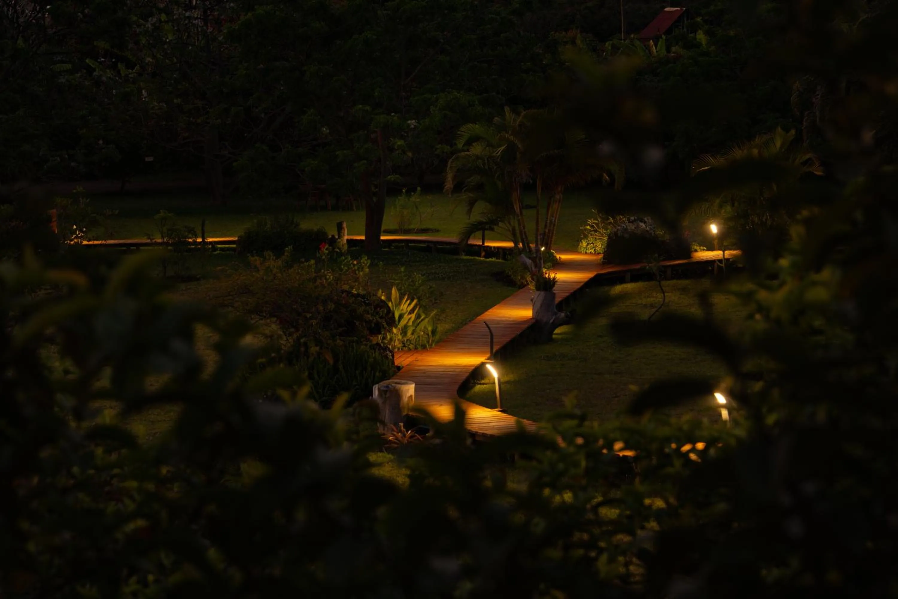 Night in Hotel Hare Uta