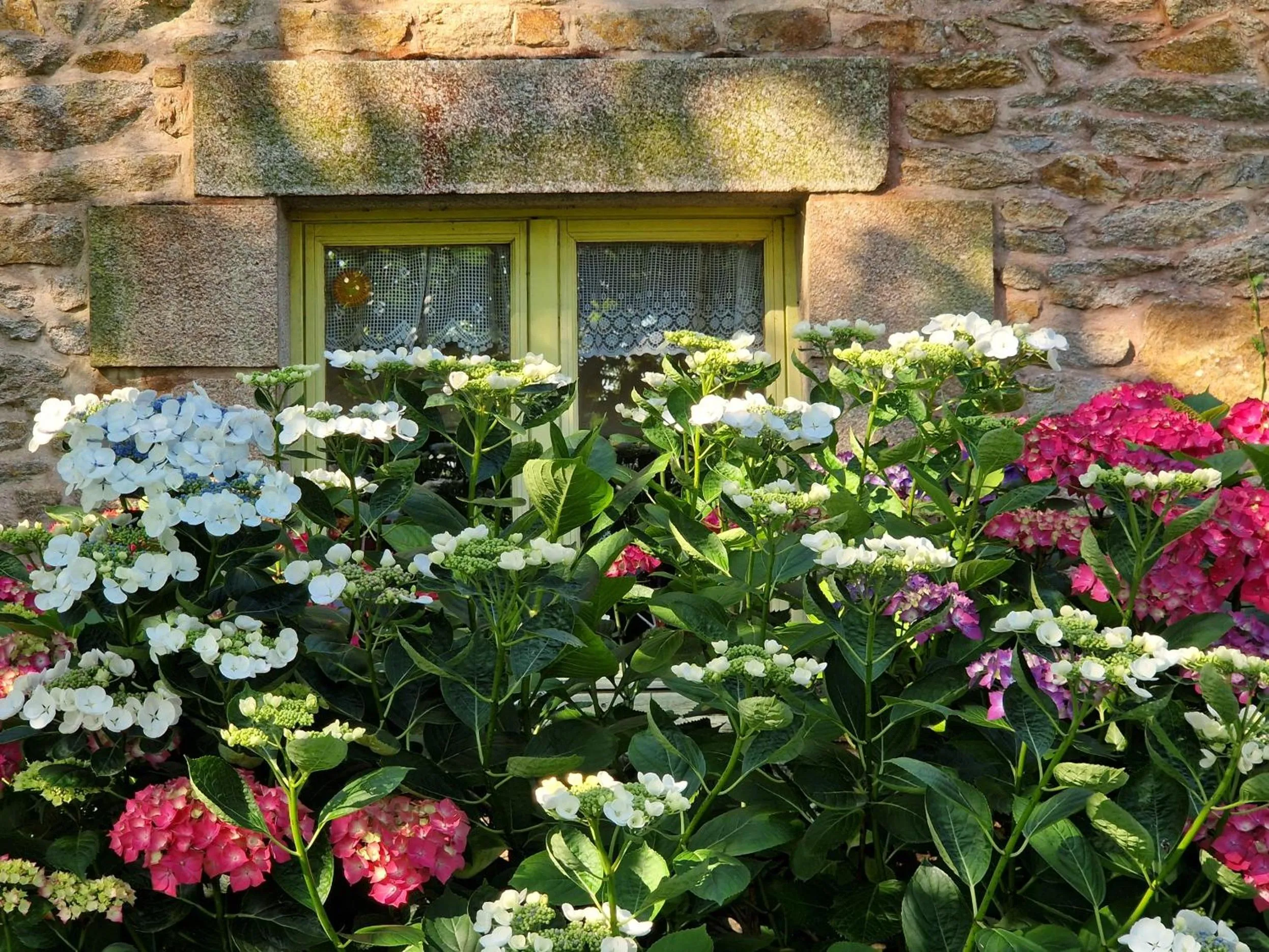 Garden in LONGERE DE NIVINEN