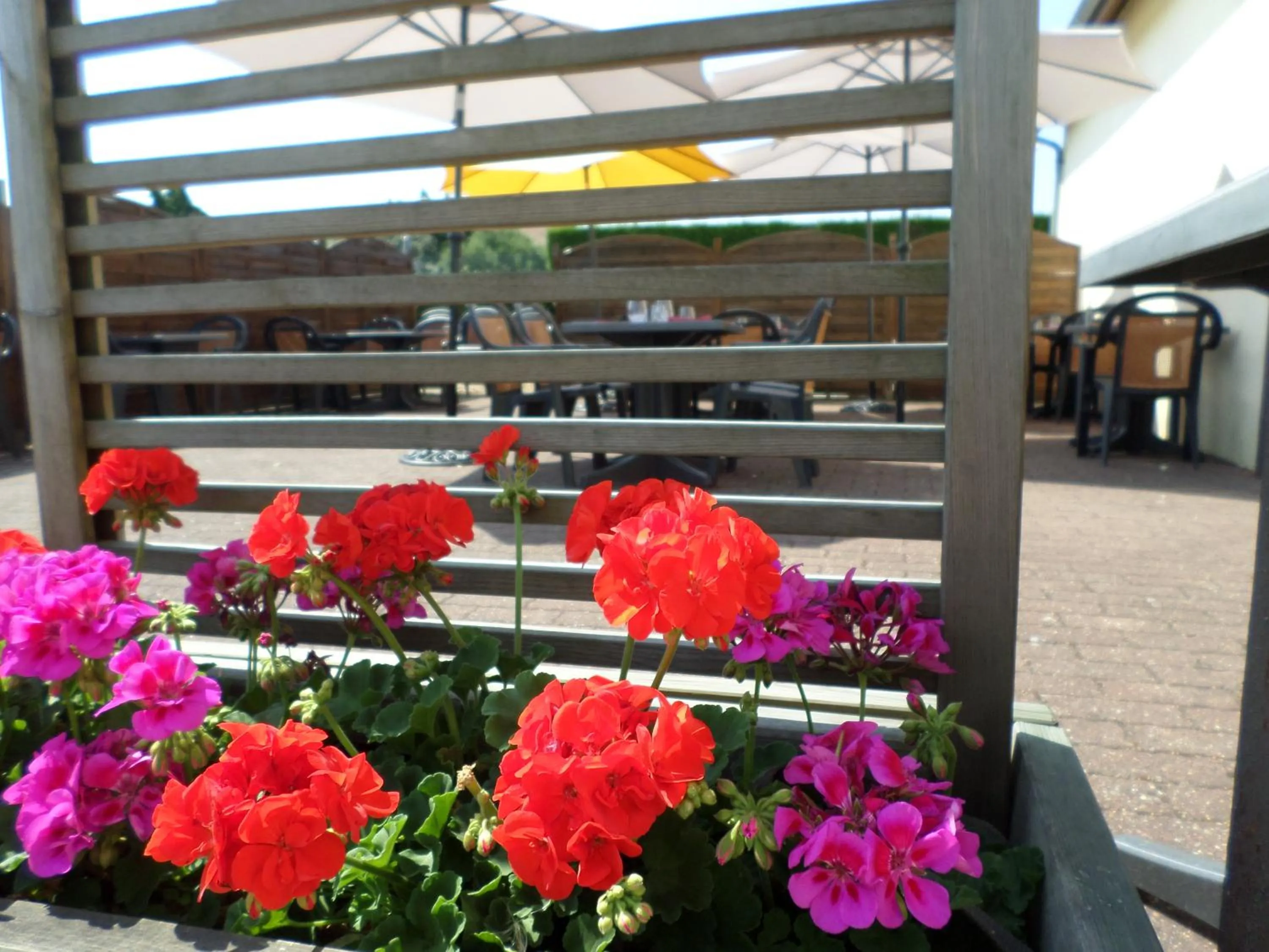 Patio in Le Pavillon de Rouen