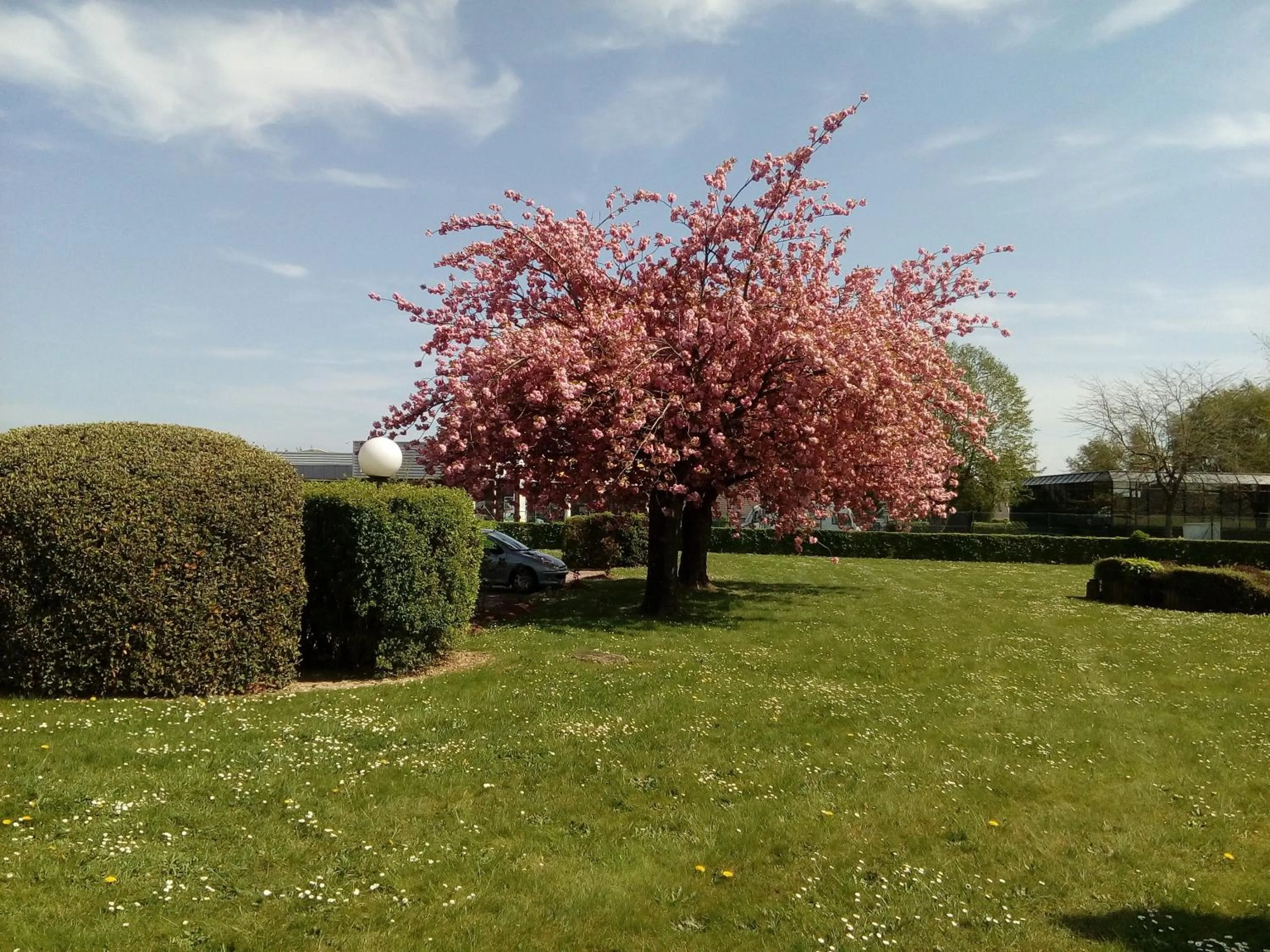 Patio in Le Pavillon de Rouen