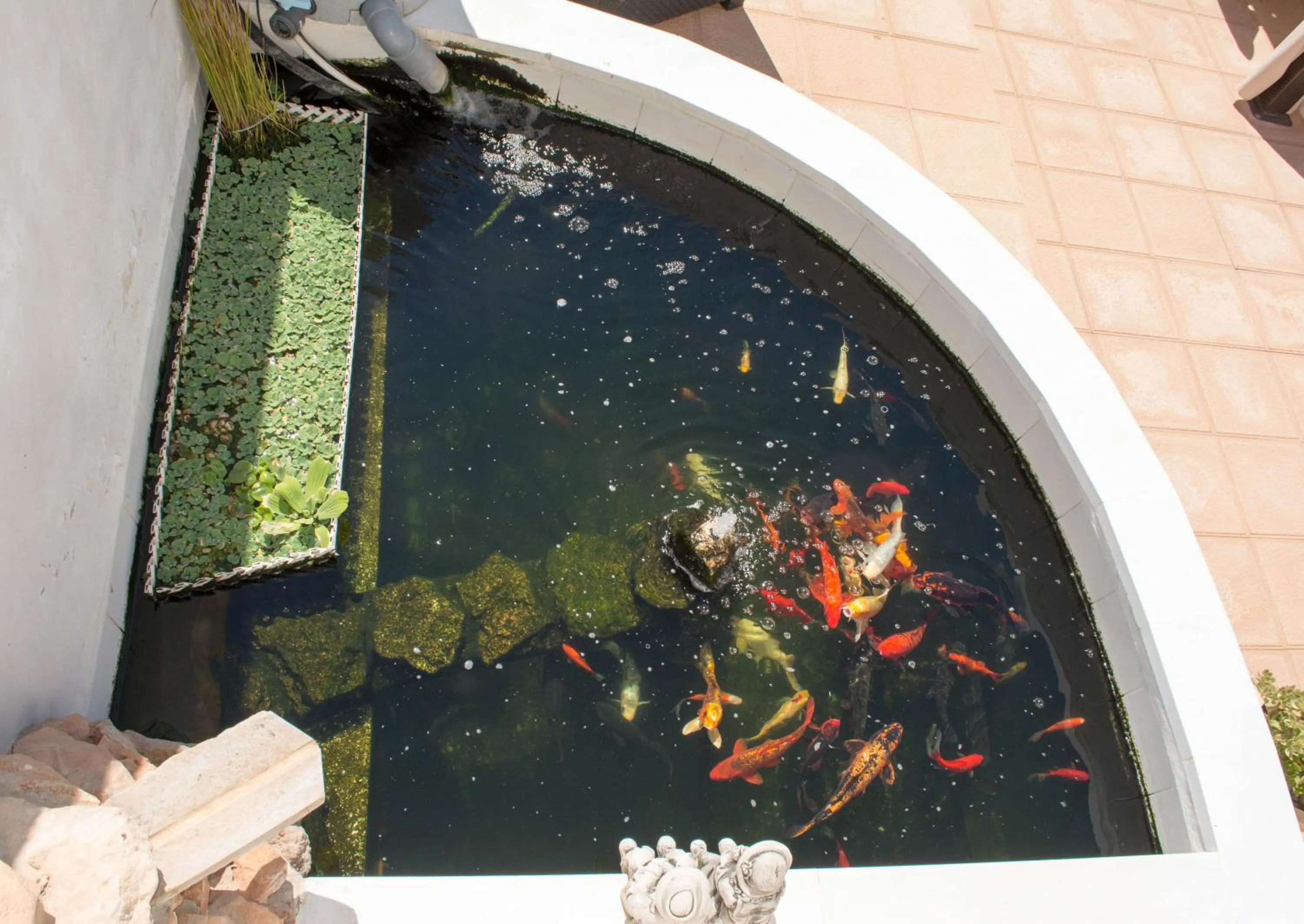 Animals in Casa Lanjaron