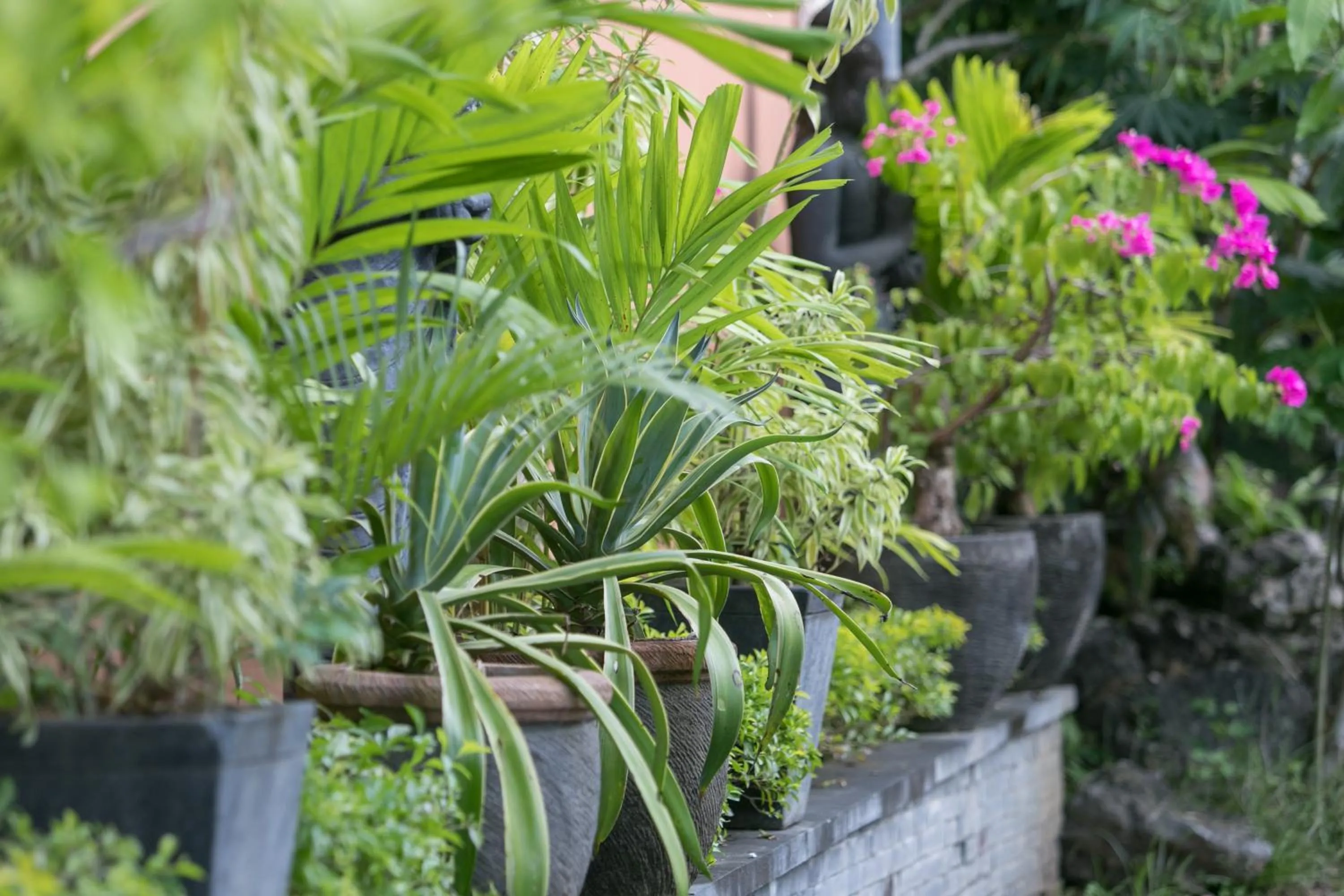 Patio in Villa SoDe Balangan by Nagisa Bali
