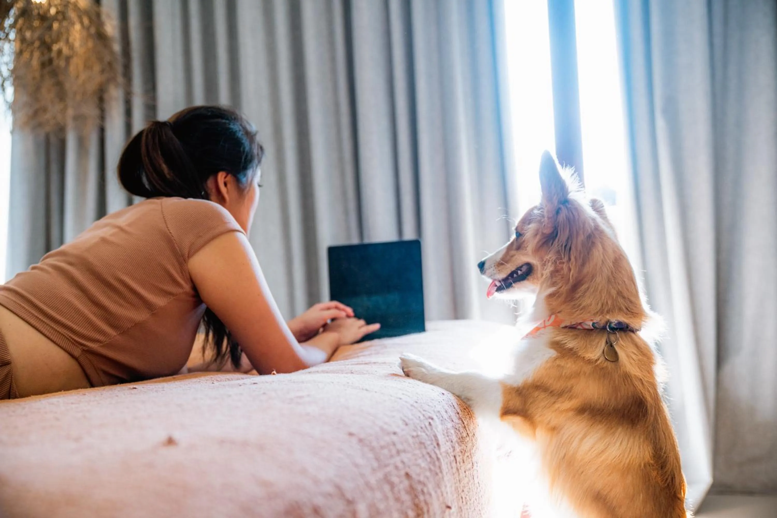 Pets in Pelangi 148 Beach Suites