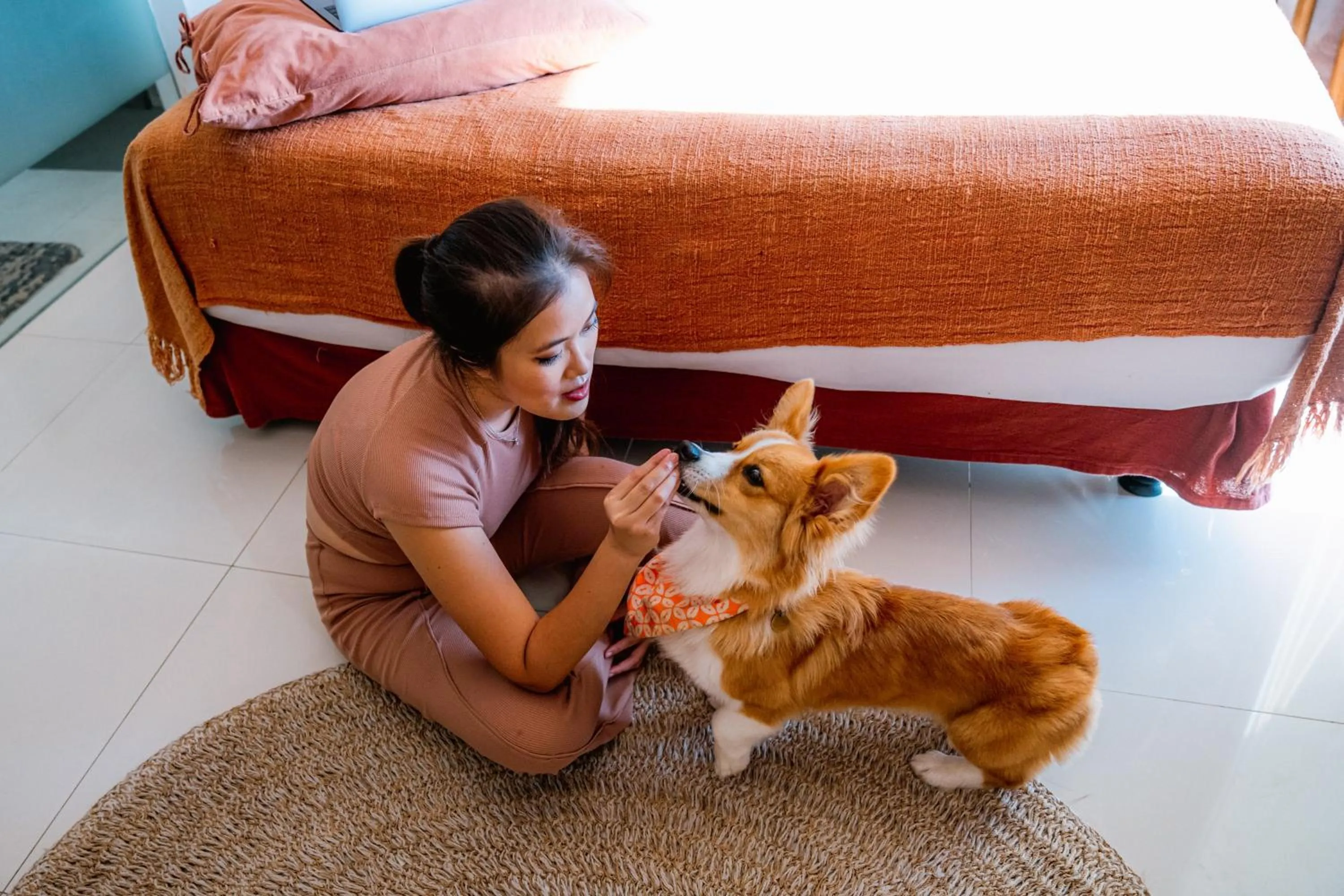 Pets in Pelangi 148 Beach Suites