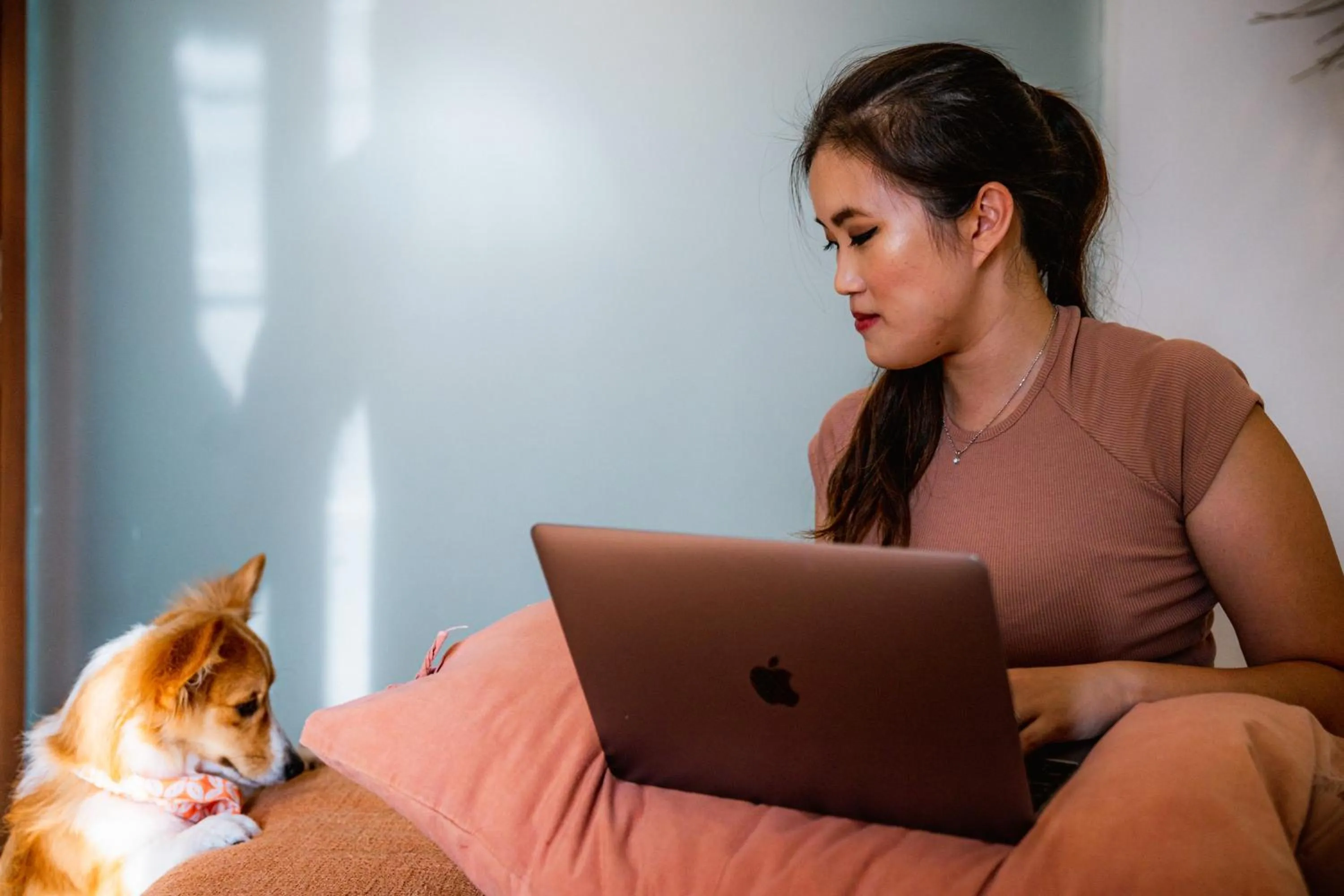 Pets in Pelangi 148 Beach Suites