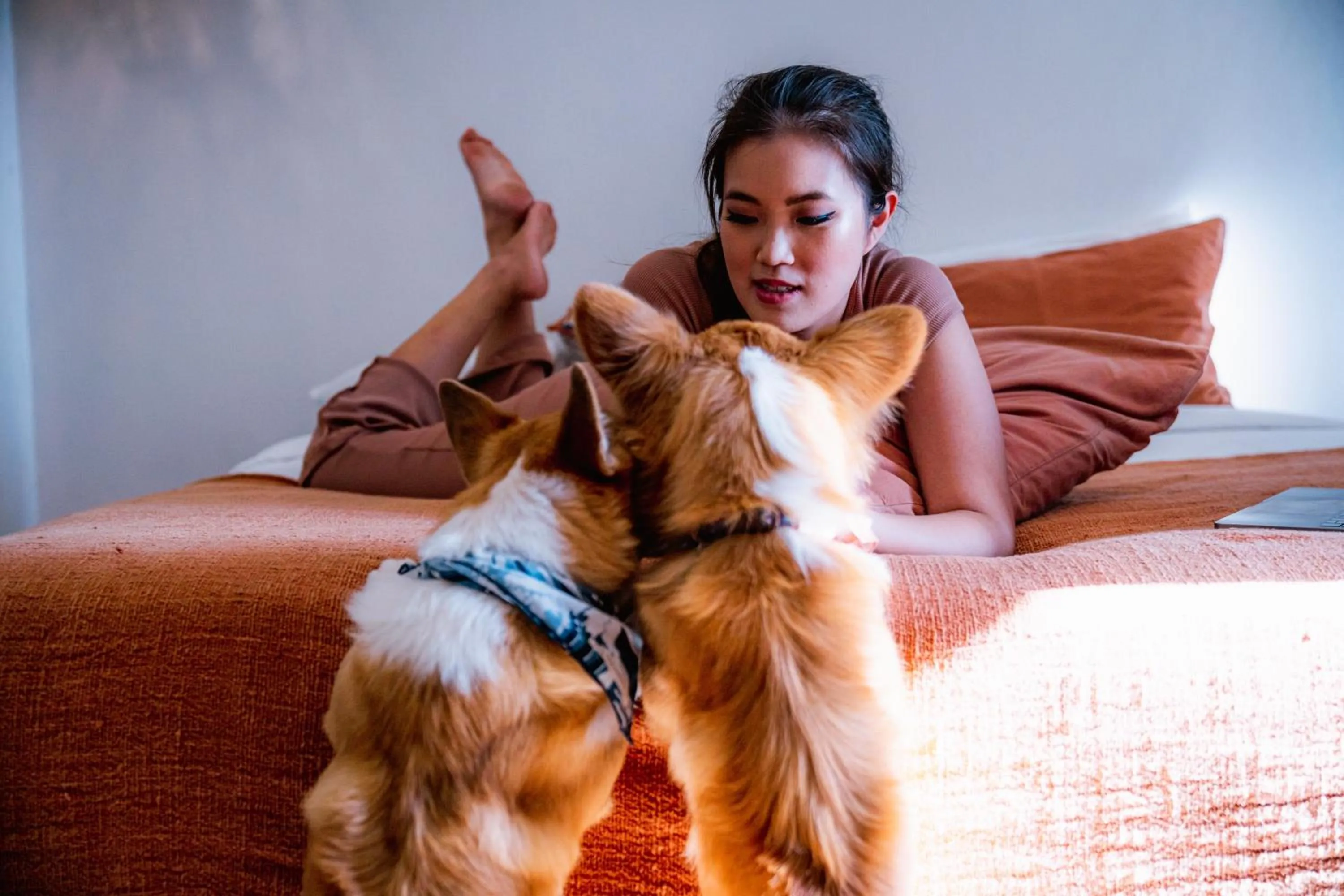 Pets in Pelangi 148 Beach Suites