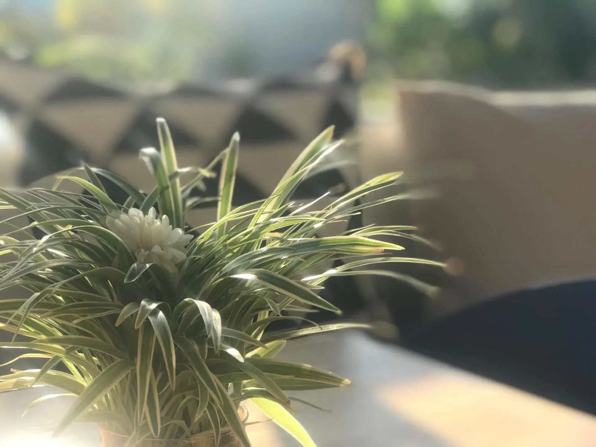 Breakfast in Aonang Eco Villa - SHA Extra Plus Breakfast in Aonang Eco Villa - SHA Extra Plus