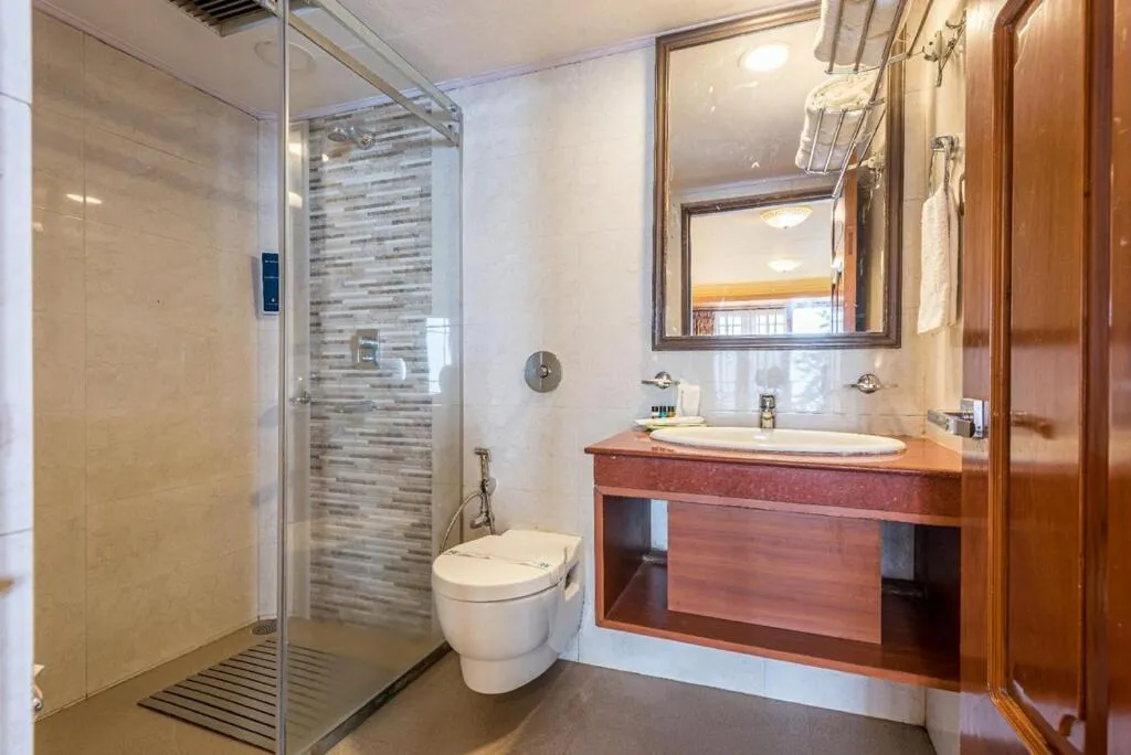 Bathroom in Udaan Dekeling Resort, Darjeeling