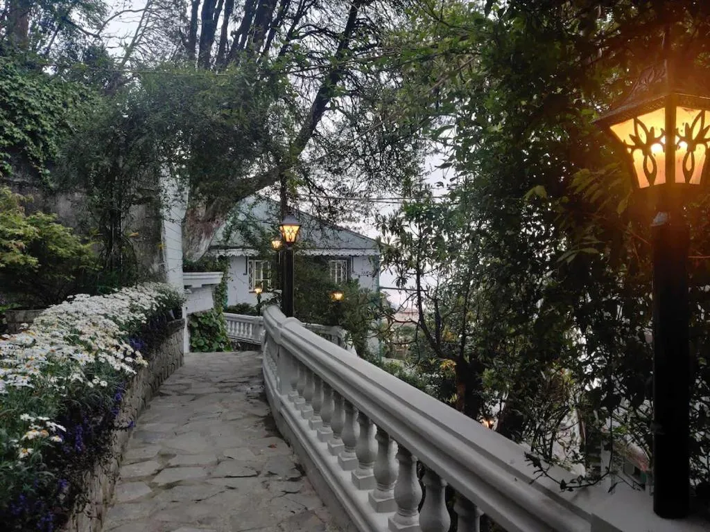 Natural landscape in Udaan Dekeling Resort, Darjeeling