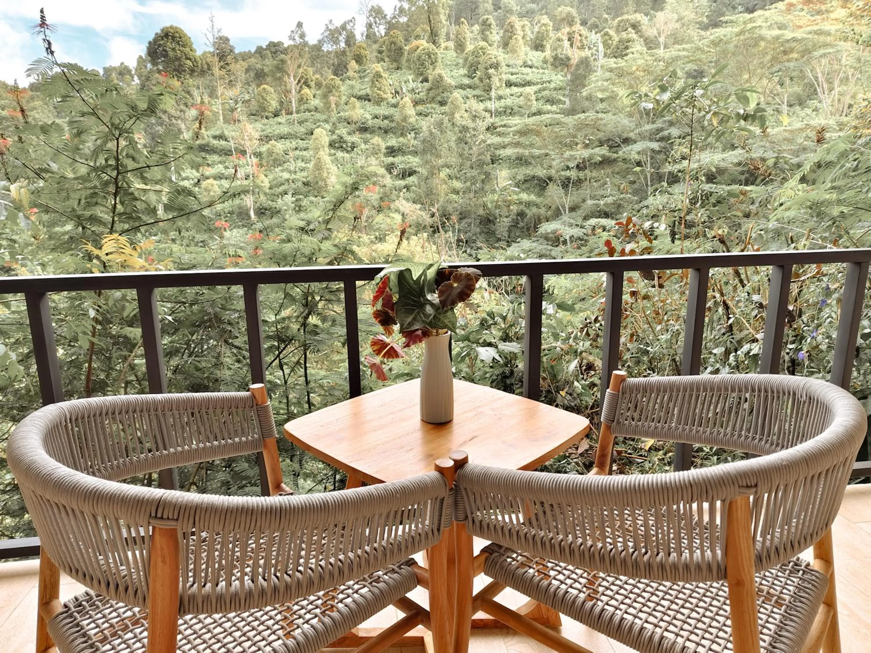 Natural landscape in Gumi Ayu EcoStay