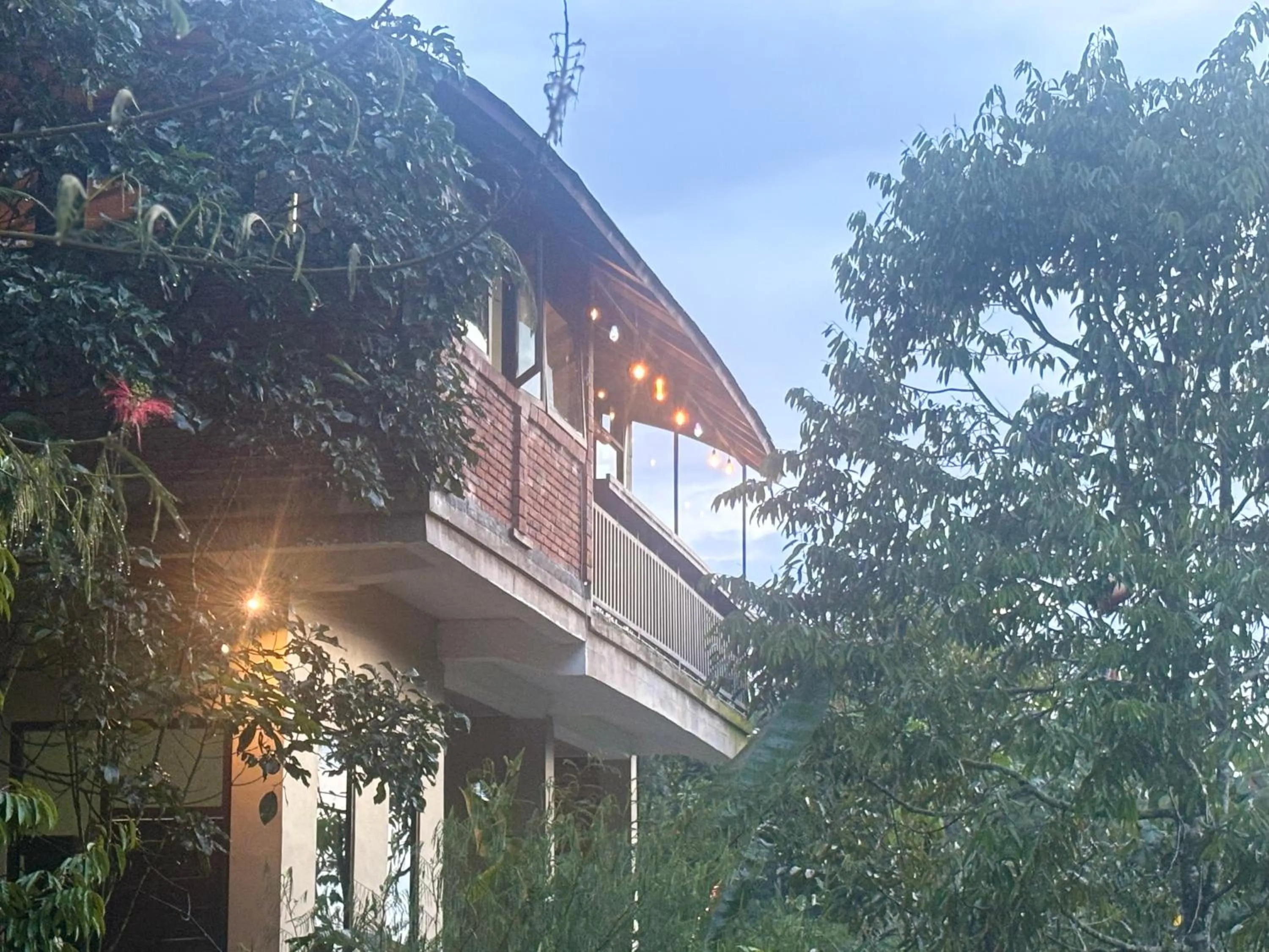 Restaurant/places to eat in Gumi Ayu EcoStay