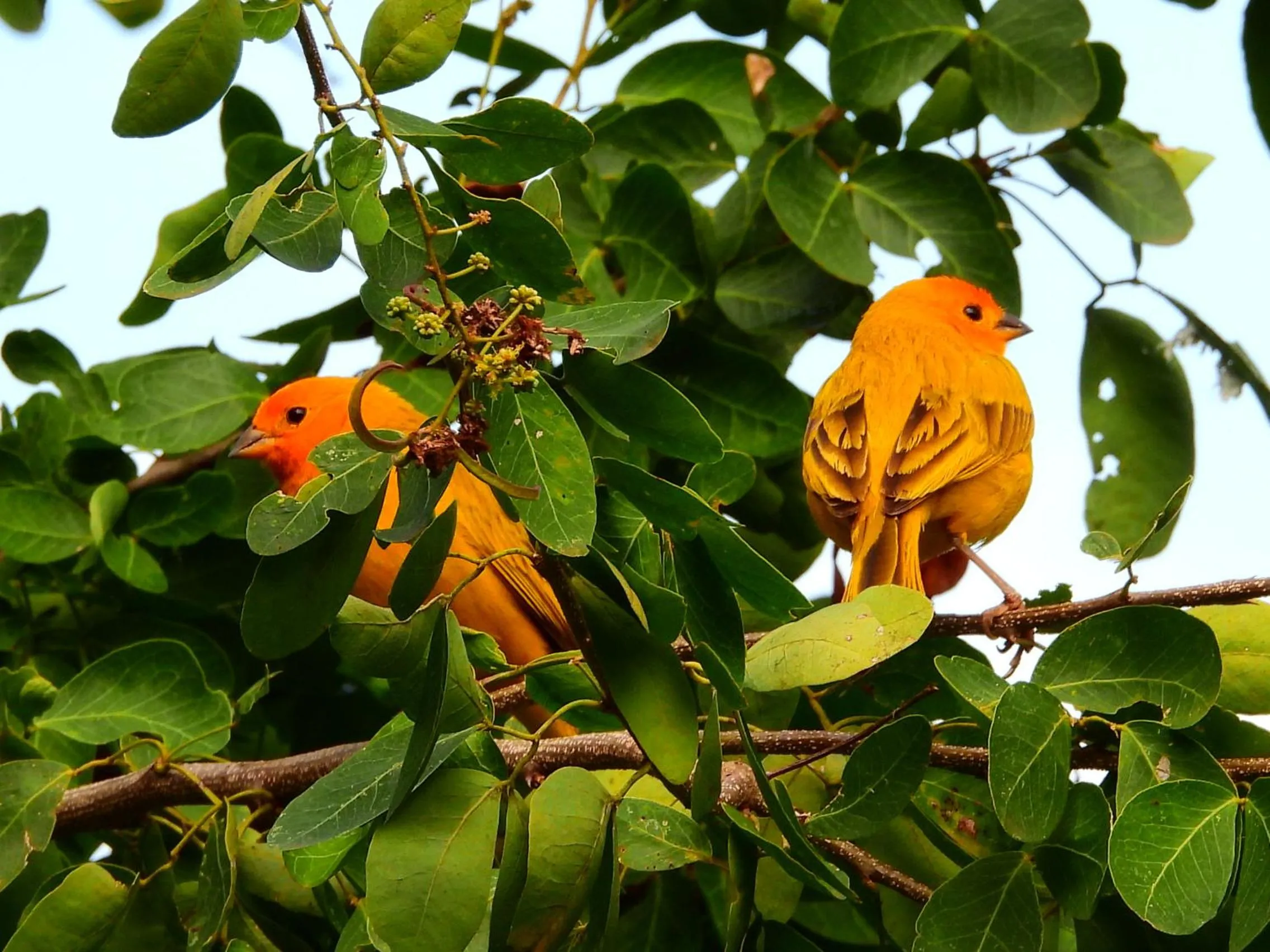 Natural landscape in Hotel Terra Barichara